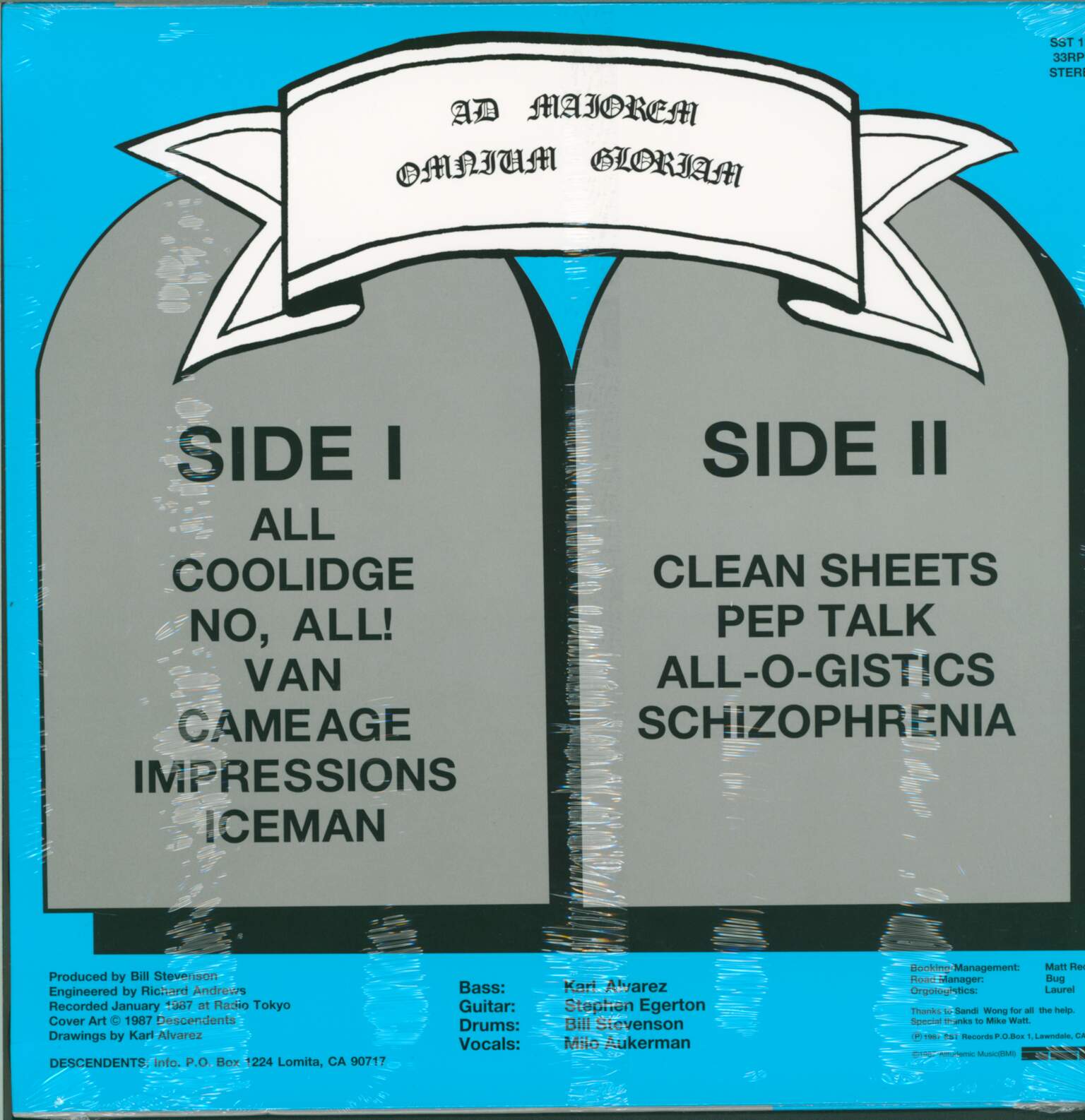 Descendents: All, 1×LP (Vinyl)