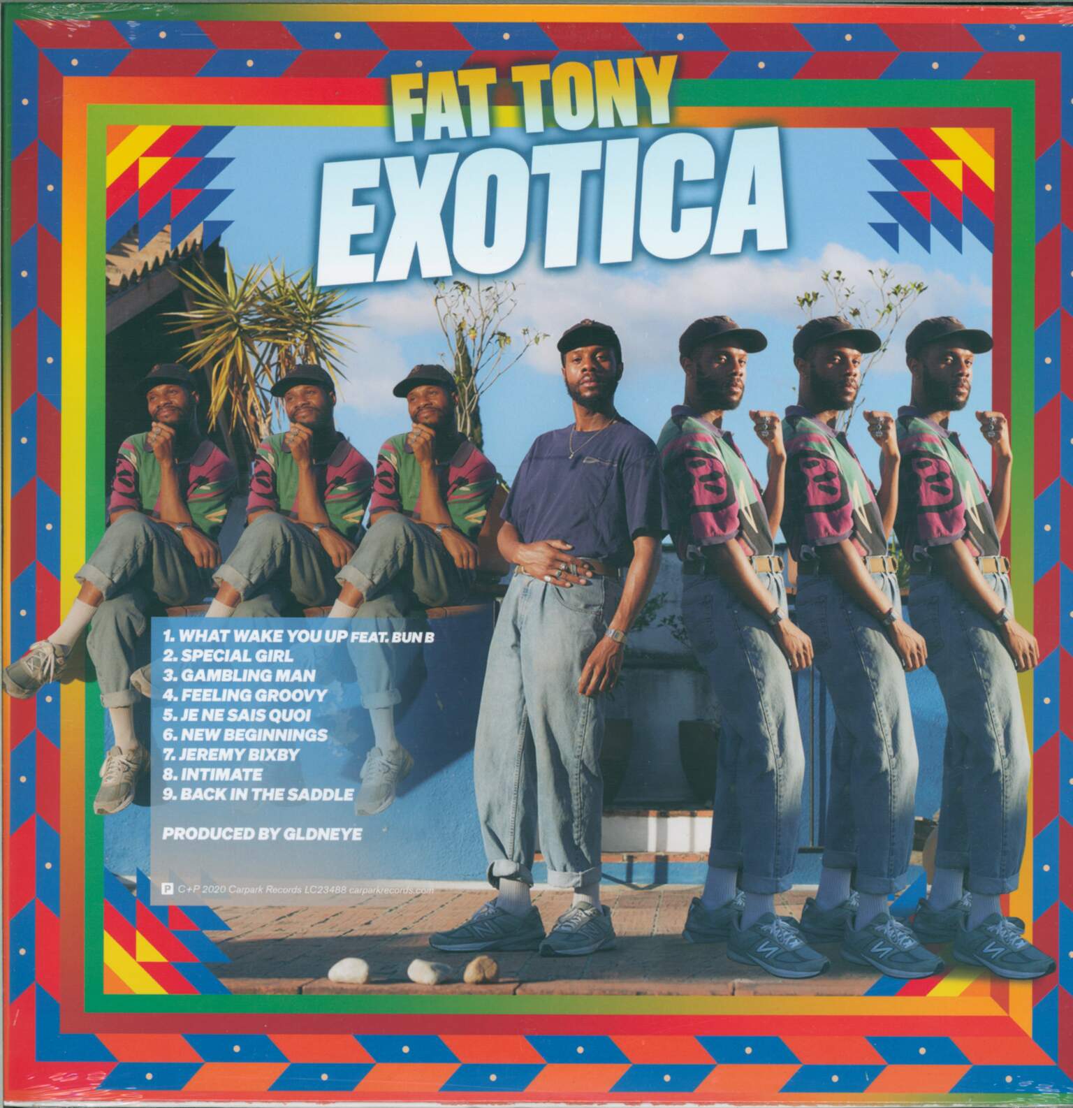 Fat Tony: Exotica, 1×LP (Vinyl)