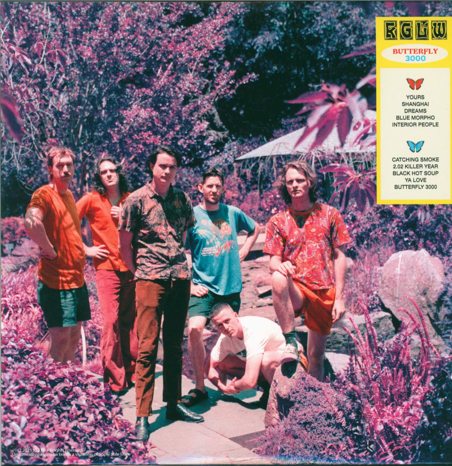 King Gizzard And The Lizard Wizard: Butterfly 3000, 1×LP (Vinyl)