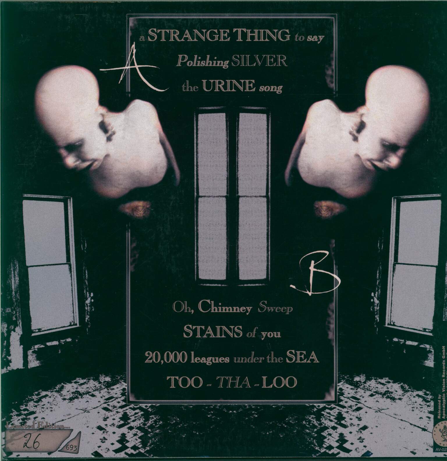 Sopor Aeternus & the Ensemble Of Shadows: A Strange Thing 2 Say, 1×LP (Vinyl)
