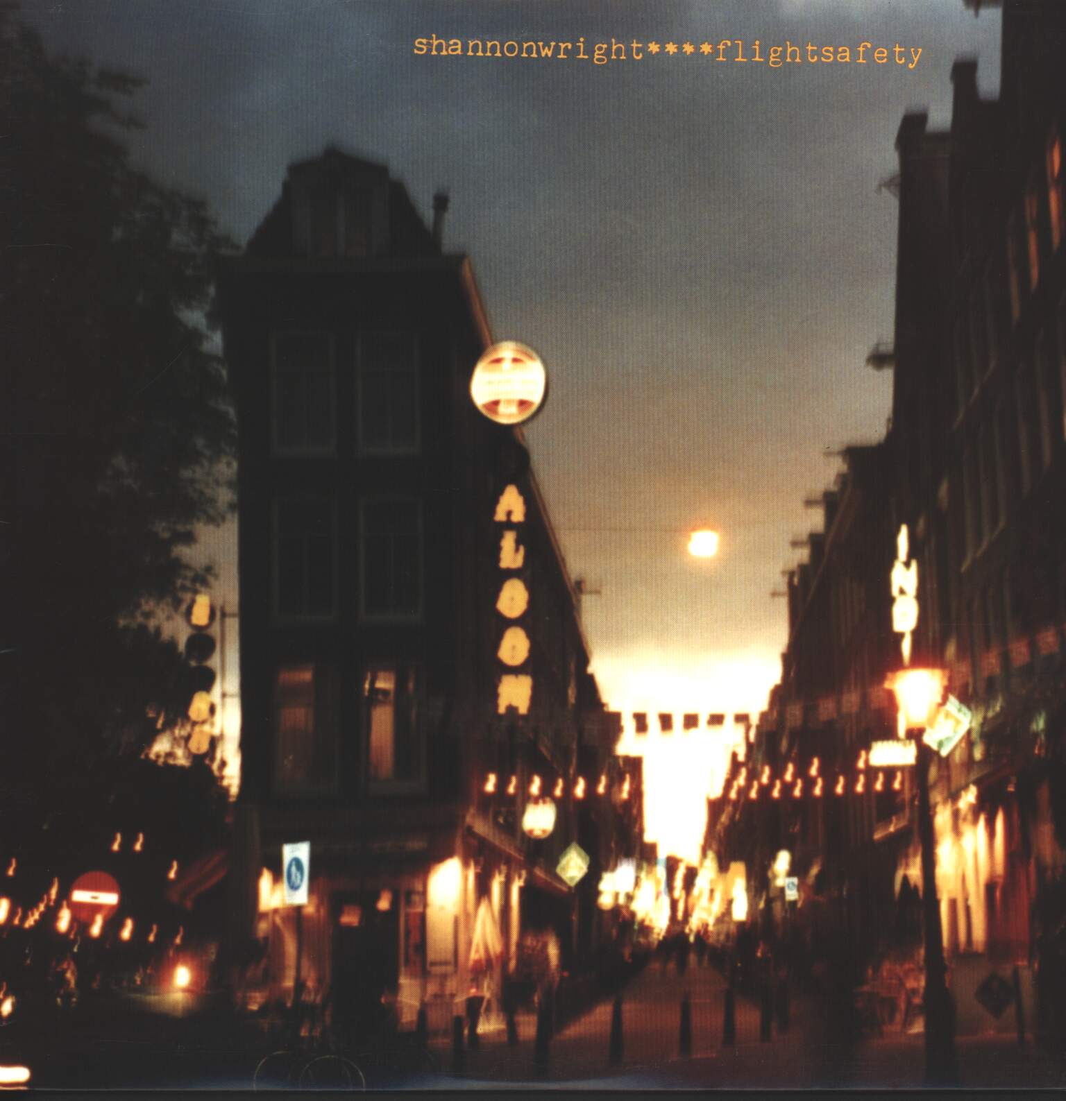 Shannon Wright: Flightsafety, 1×LP (Vinyl)