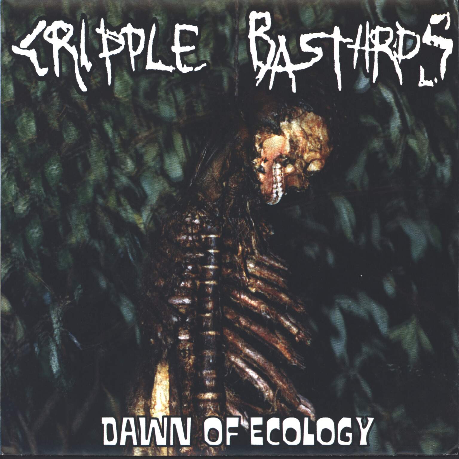 Cripple Bastards: Dawn Of Ecology / Popular Easy Listening Music Ensemble, 1×7" Single (Vinyl)