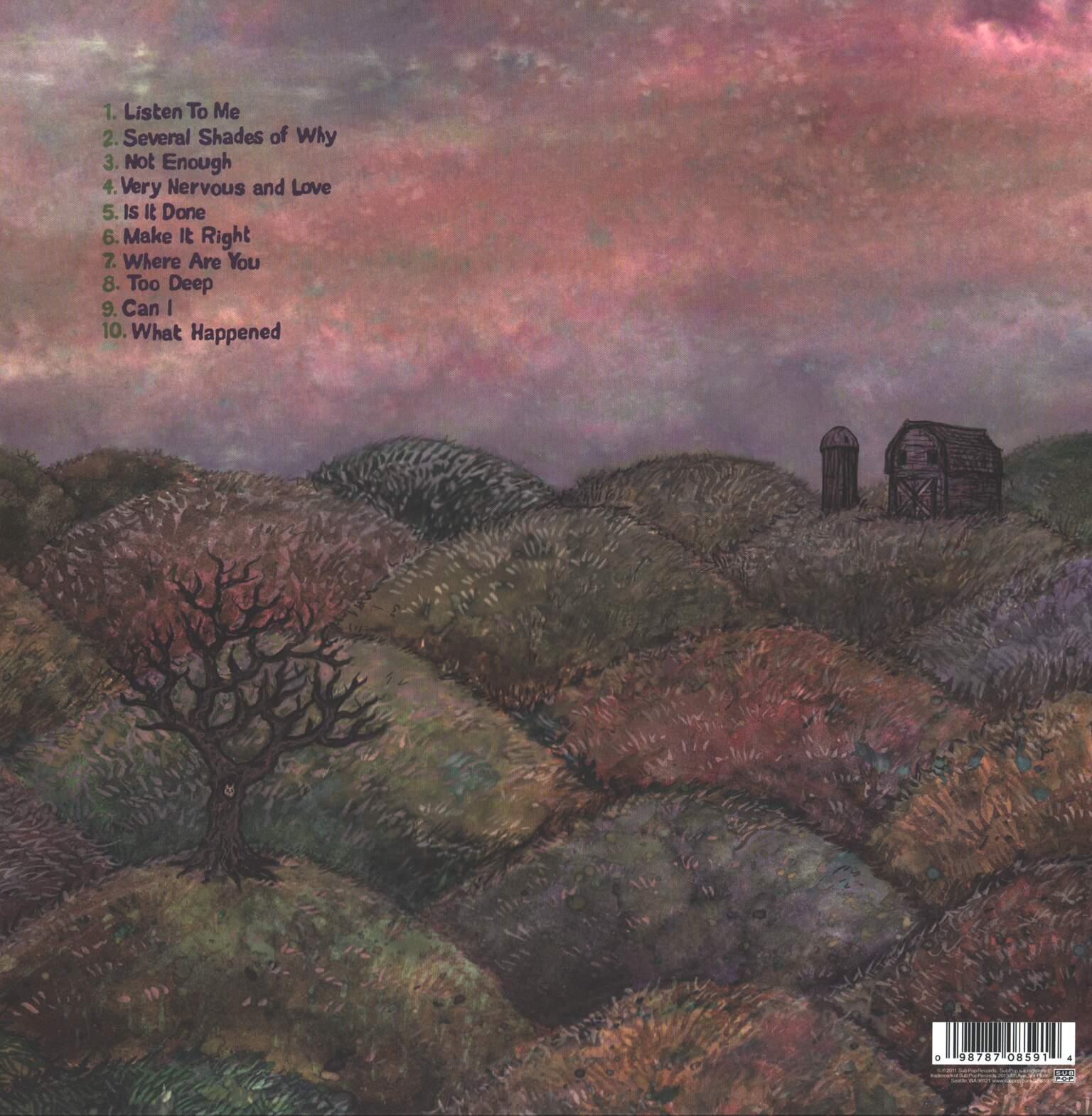 J Mascis: Several Shades Of Why, 1×LP (Vinyl)