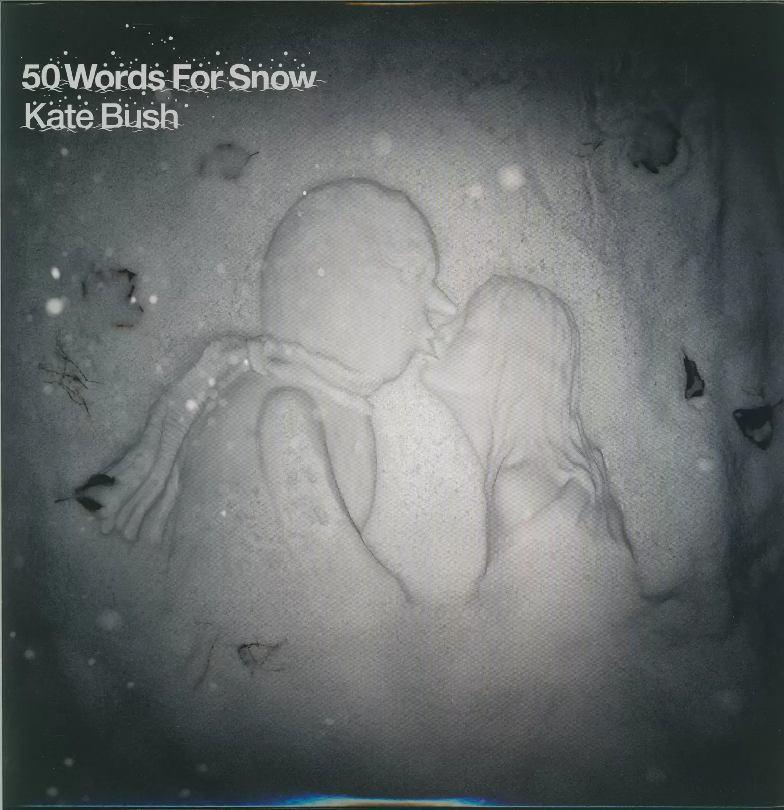 Kate Bush: 50 Words For Snow, 2×LP (Vinyl)