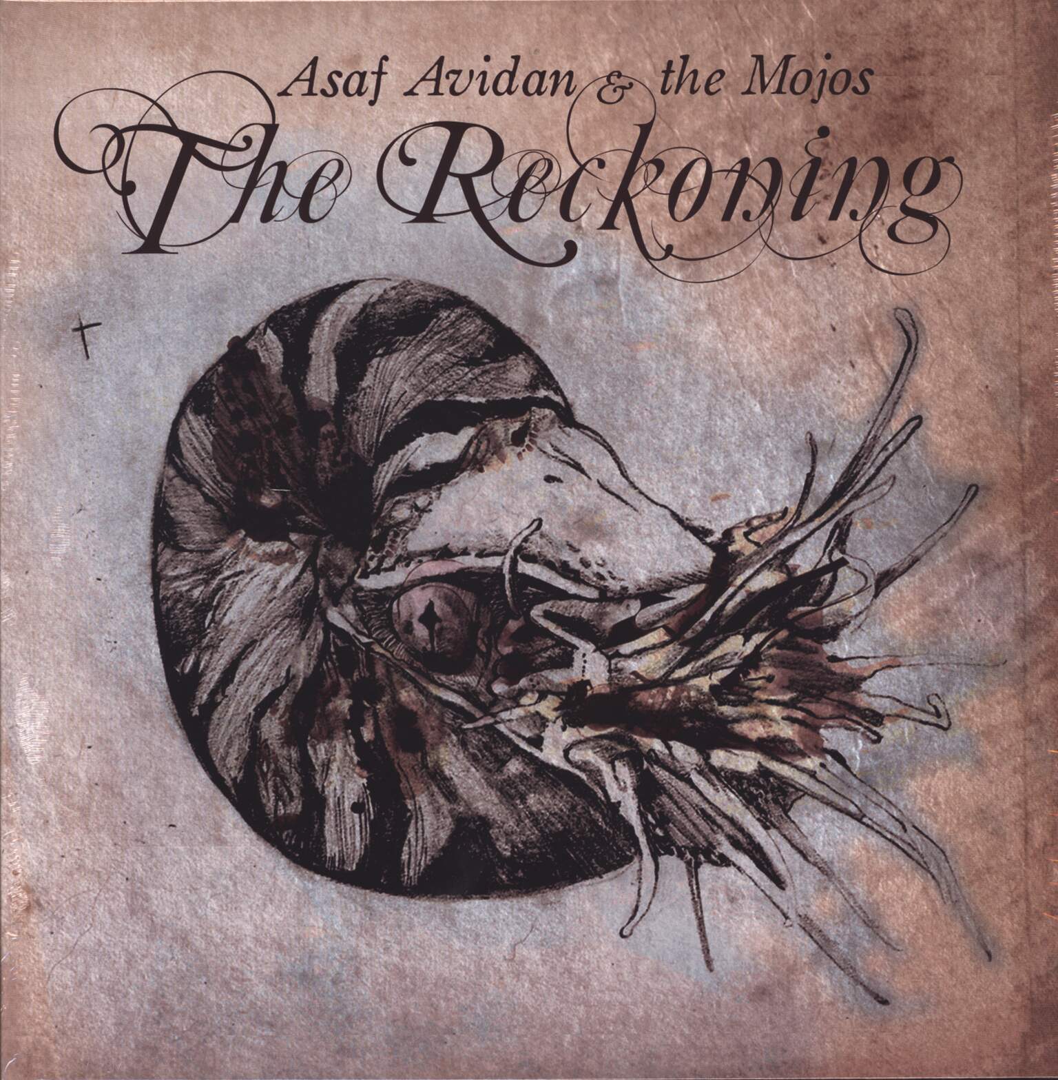 Asaf Avidan & The Mojos: The Reckoning, 1×LP (Vinyl)