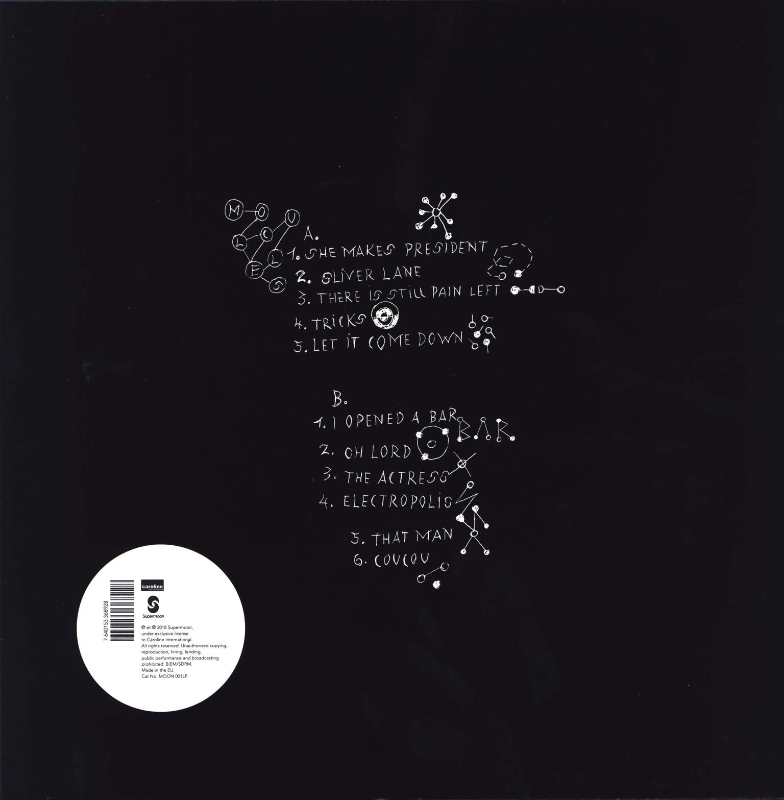 Sophie Hunger: Molecules, 1×LP (Vinyl)