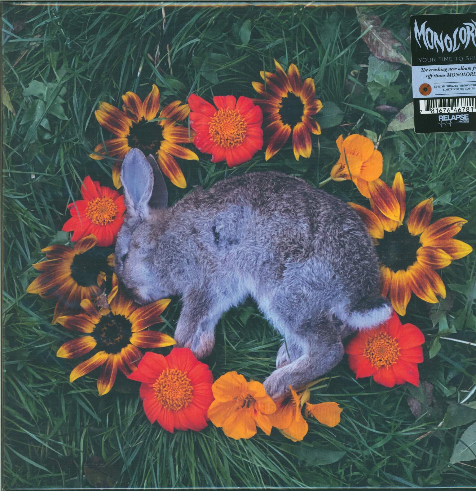 Monolord: Your Time To Shine, 1×LP (Vinyl)