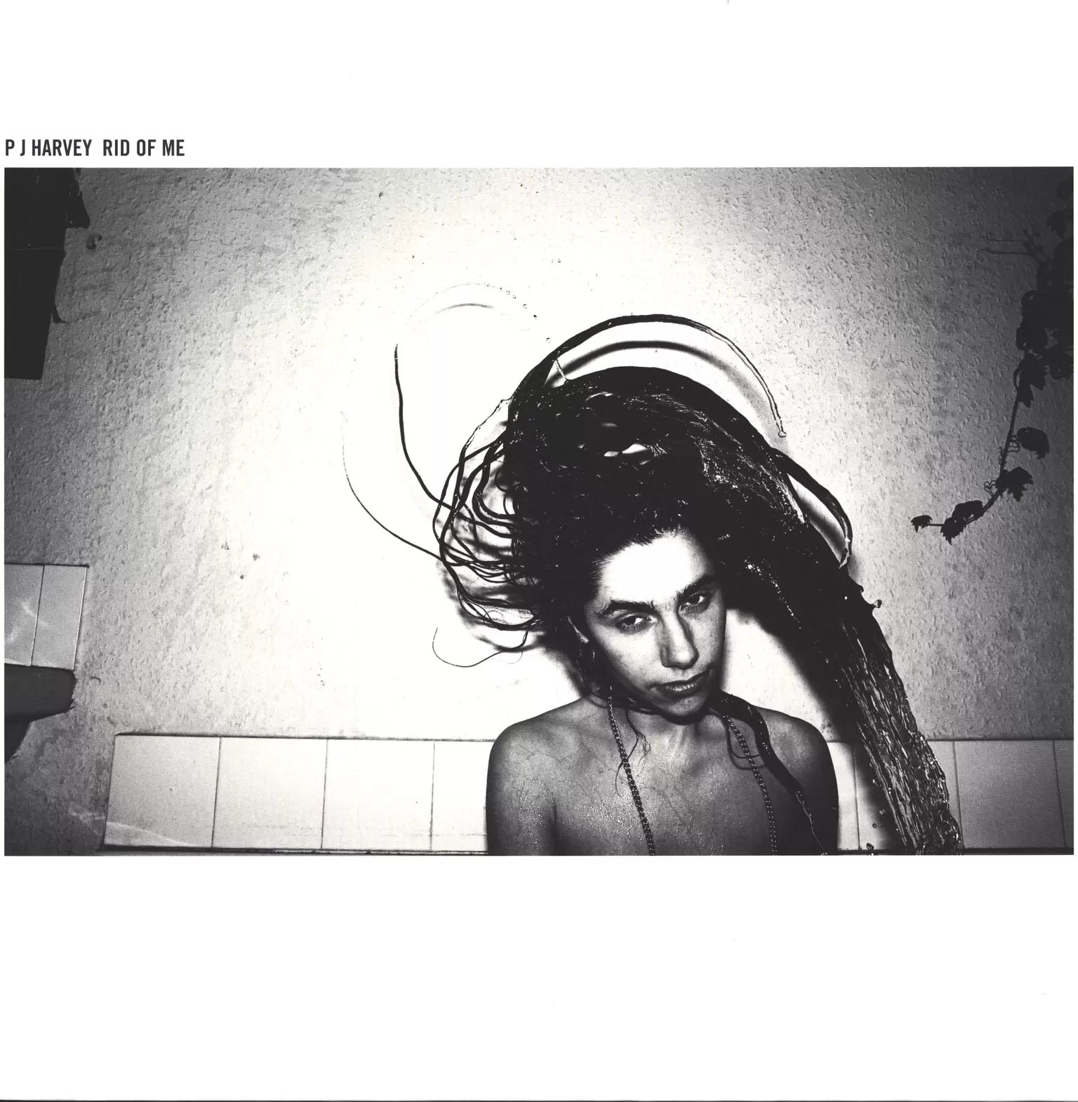 PJ Harvey: Rid Of Me, 1×LP (Vinyl)