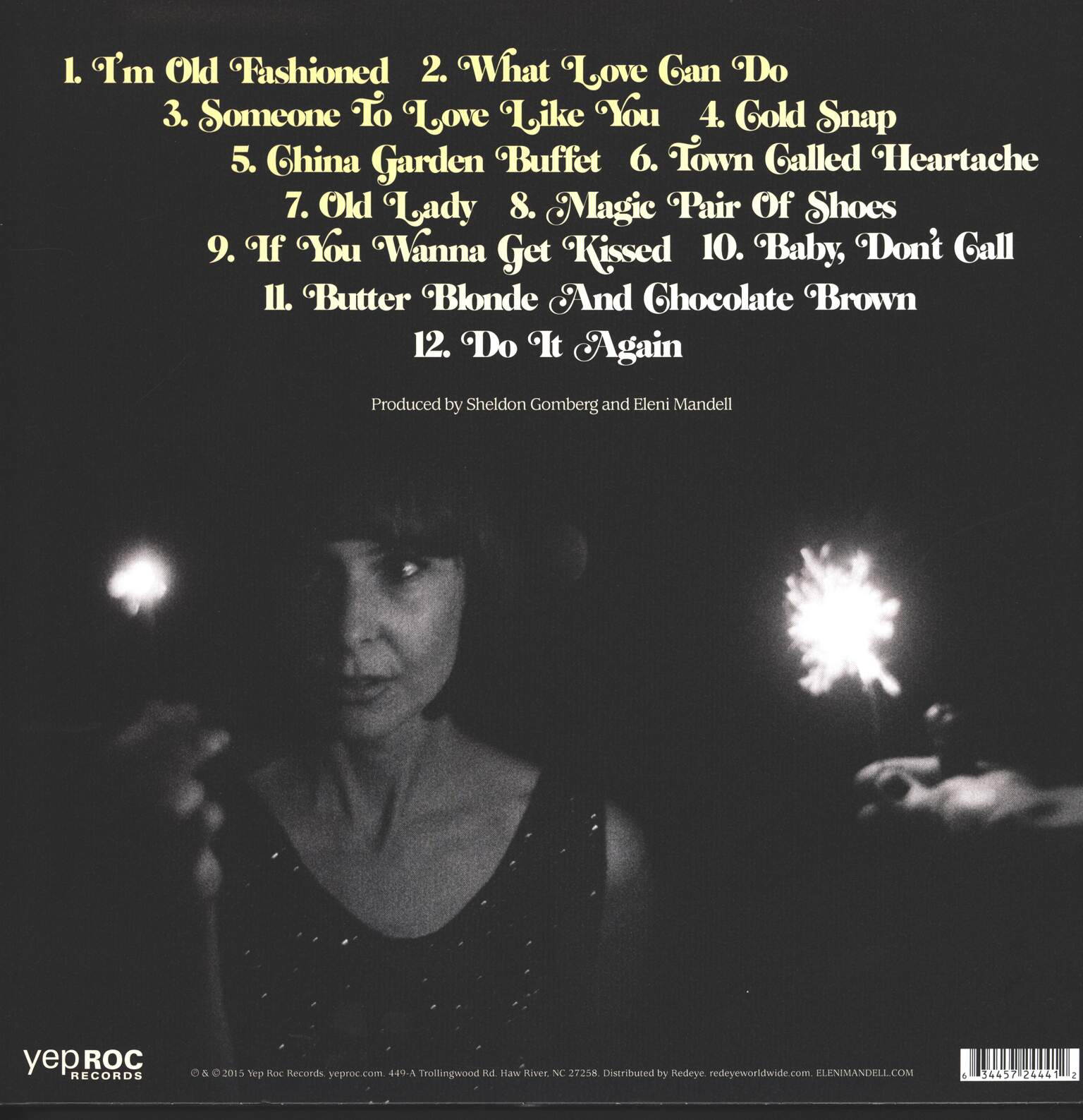 Eleni Mandell: Dark Lights Up, 1×LP (Vinyl)