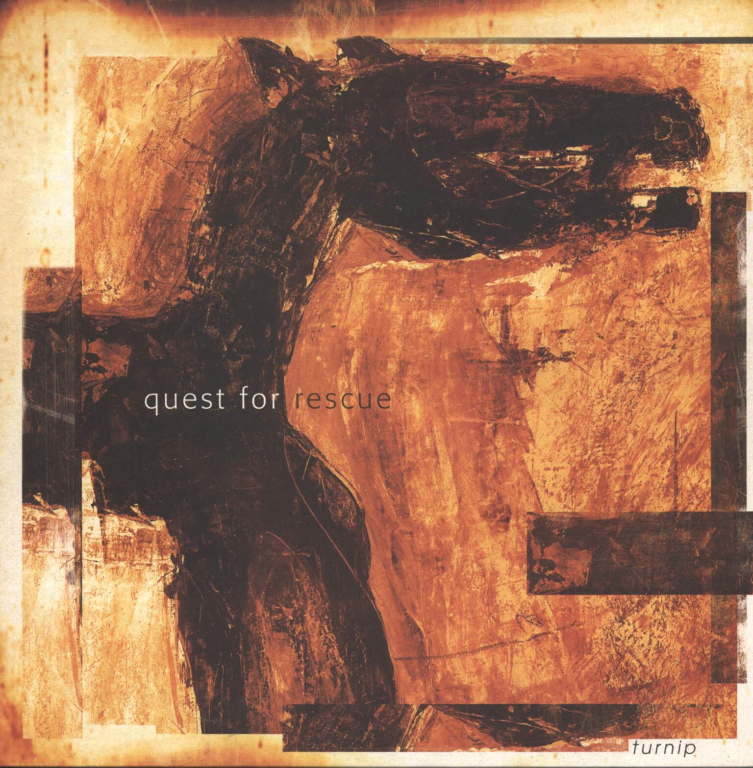 Quest For Rescue: Turnip, 1×LP (Vinyl)