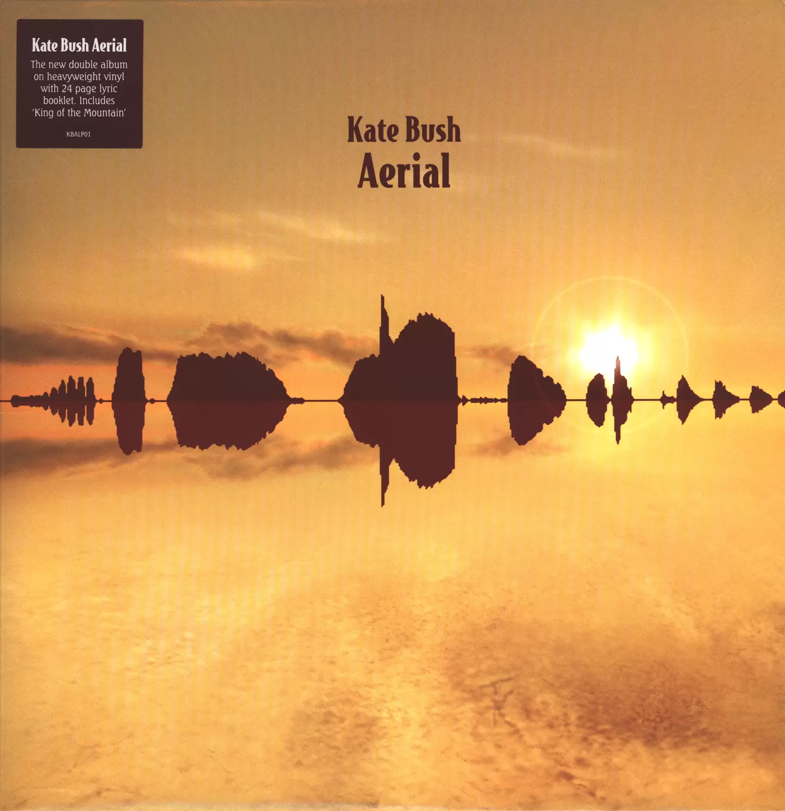 Kate Bush: Aerial, 2×LP (Vinyl)