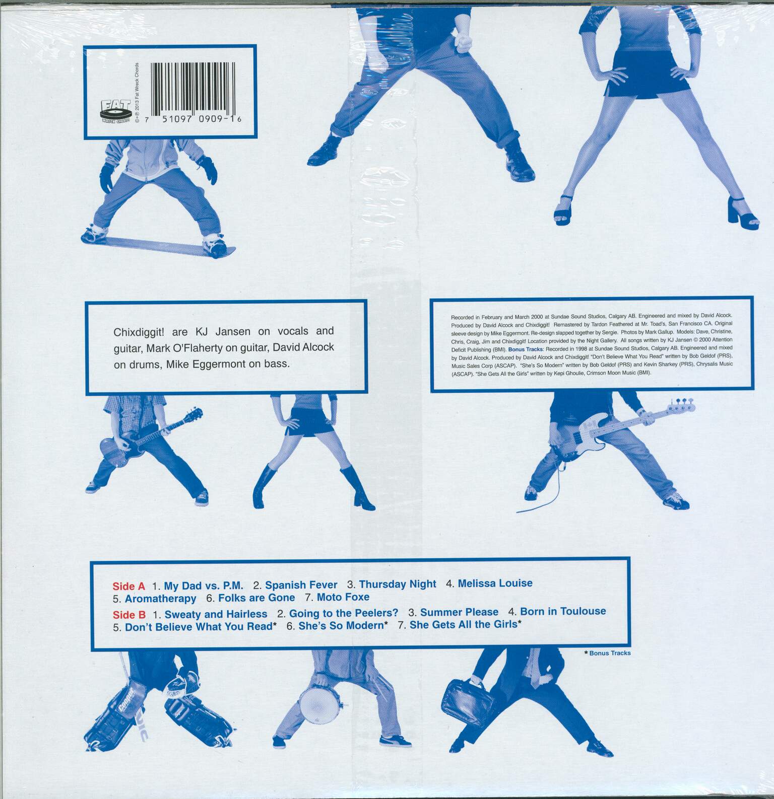 Chixdiggit: From Scene To Shining Scene, 1×LP (Vinyl)