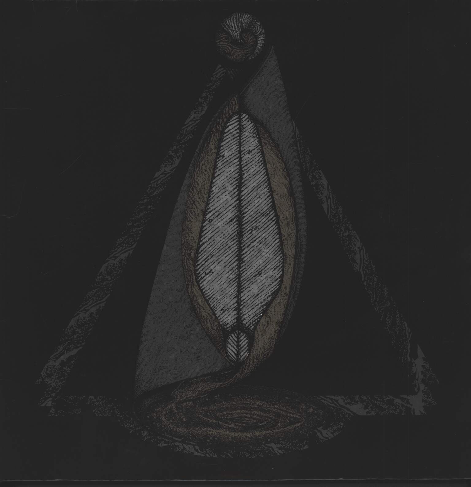 Dephosphorus: Night Sky Transform, 1×LP (Vinyl)