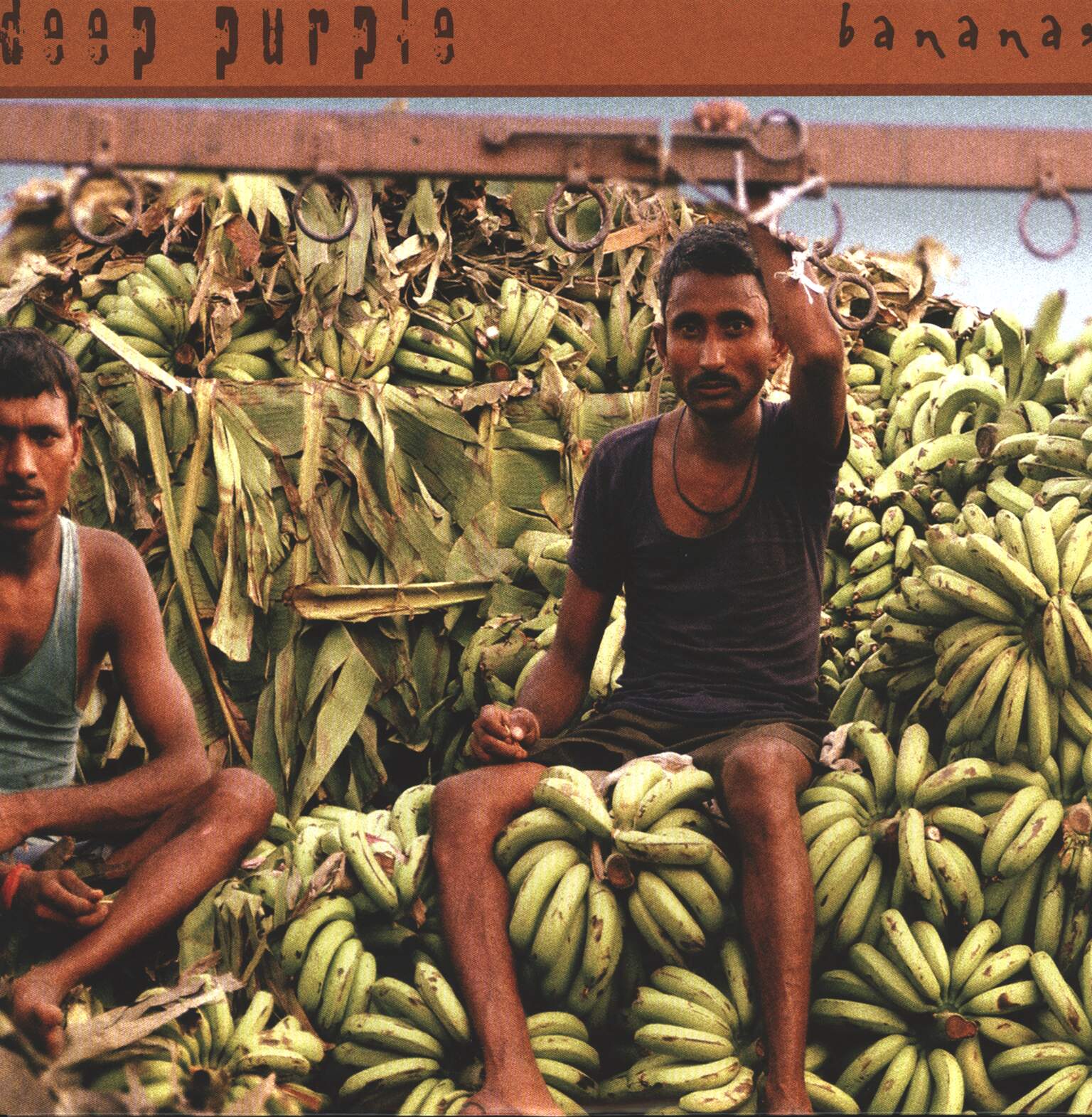 Deep Purple: Bananas, 1×LP (Vinyl)