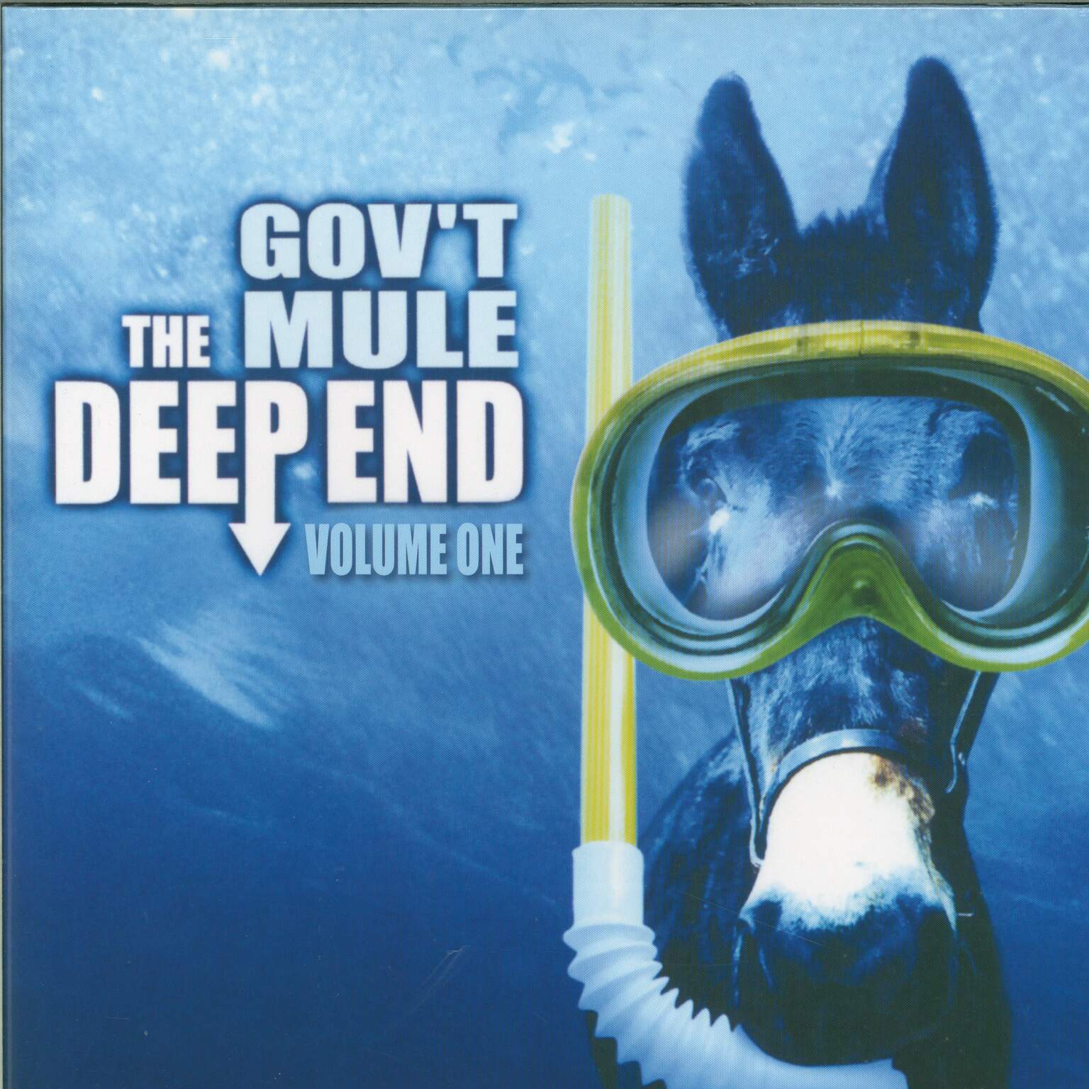 Gov't Mule: The Deep End Vol.1, 2×LP (Vinyl)