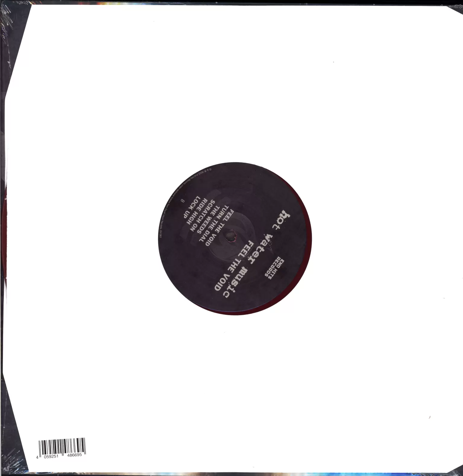 Hot Water Music: Feel The Void, 1×LP (Vinyl)