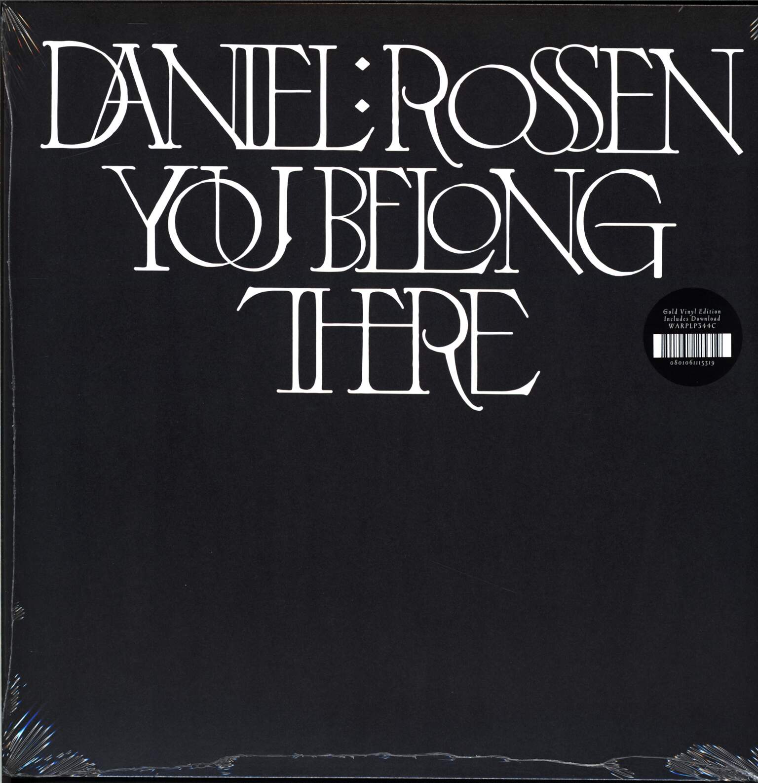 Daniel Rossen: You Belong There, 1×LP (Vinyl)