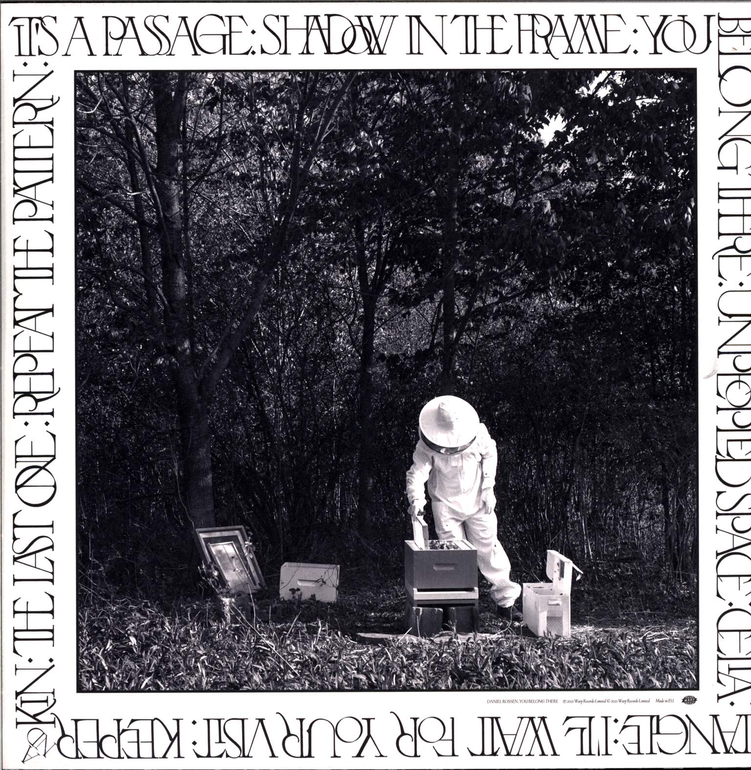 Daniel Rossen: You Belong There, 1×LP (Vinyl)