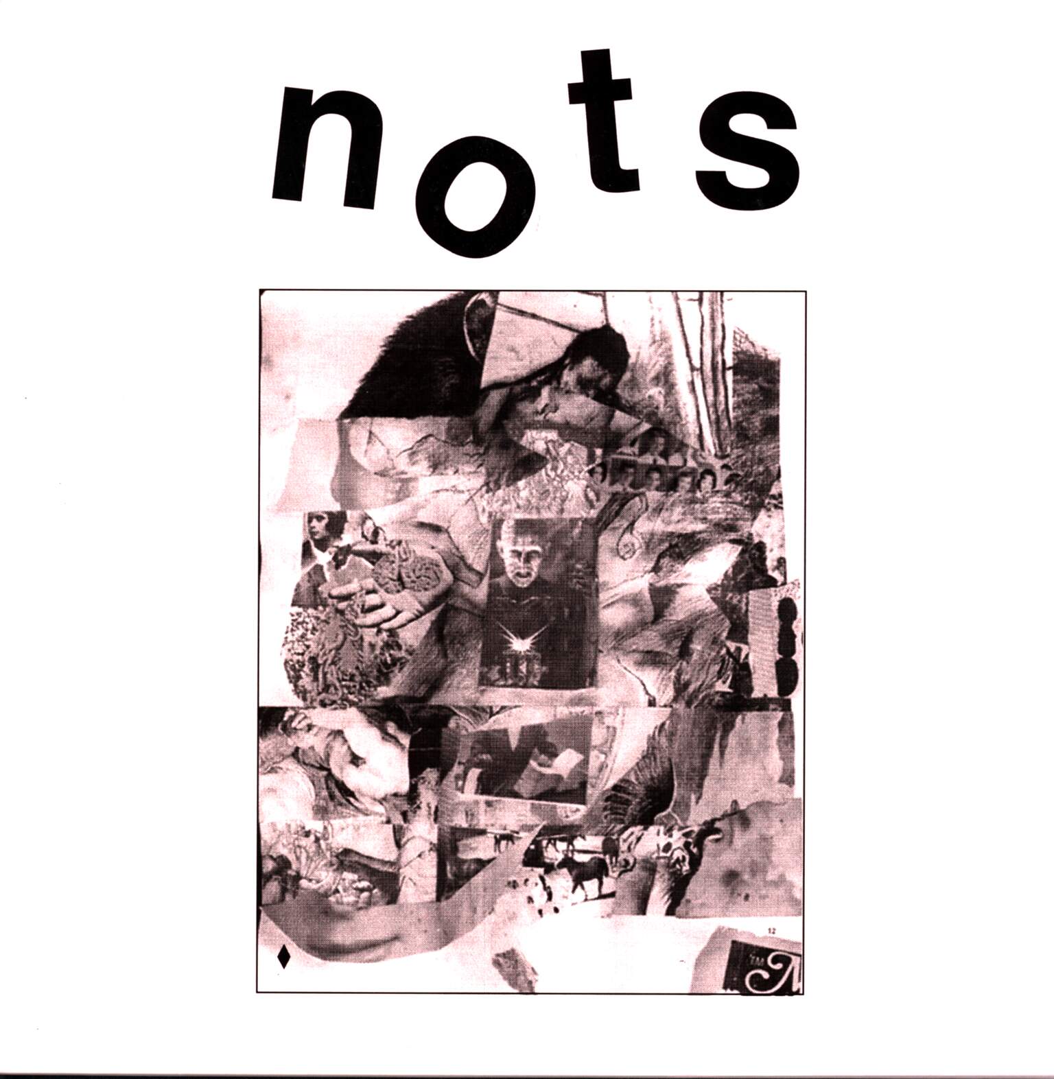 Nots: We Are Nots, 1×LP (Vinyl)