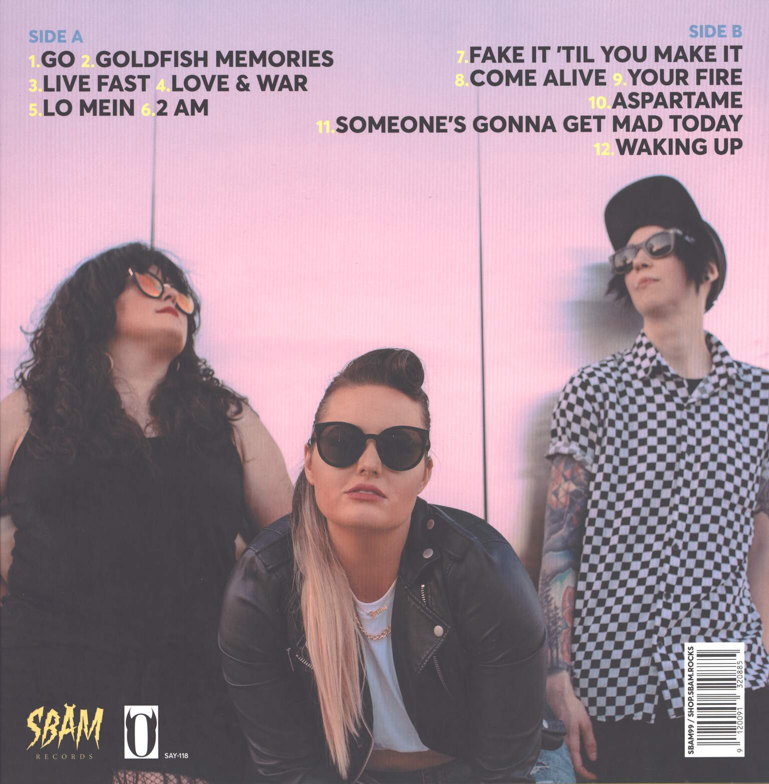 The Von Tramps: Go, 1×LP (Vinyl)