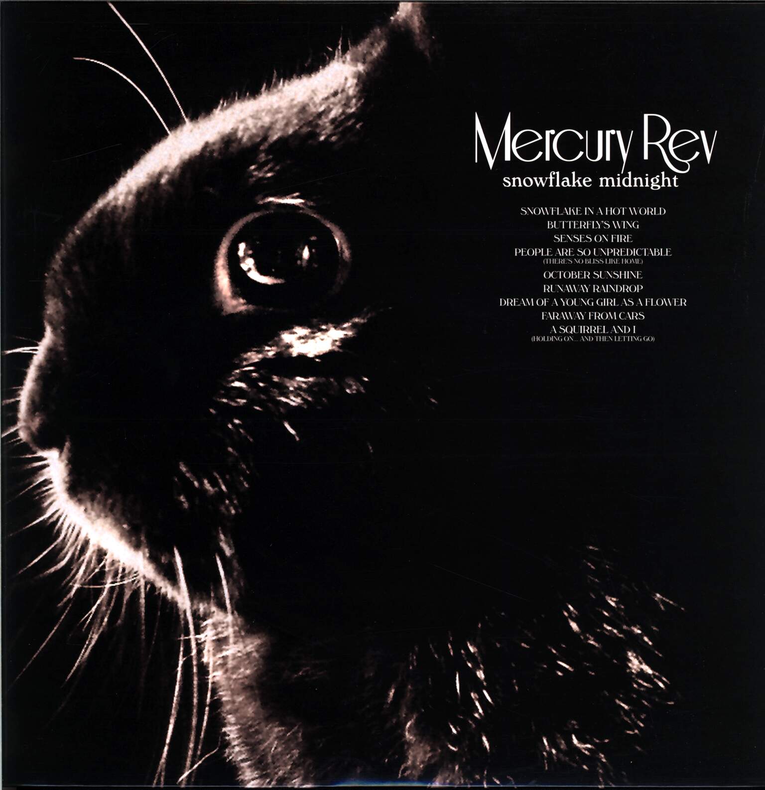 Mercury Rev: Snowflake Midnight, 2×LP (Vinyl)