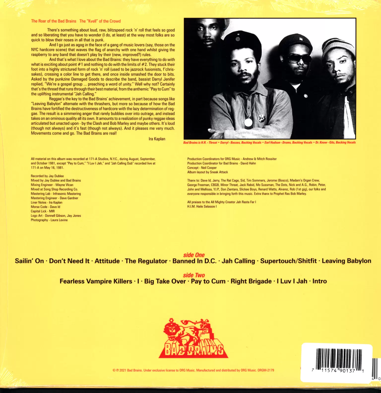 Bad Brains: Bad Brains, 1×LP (Vinyl)