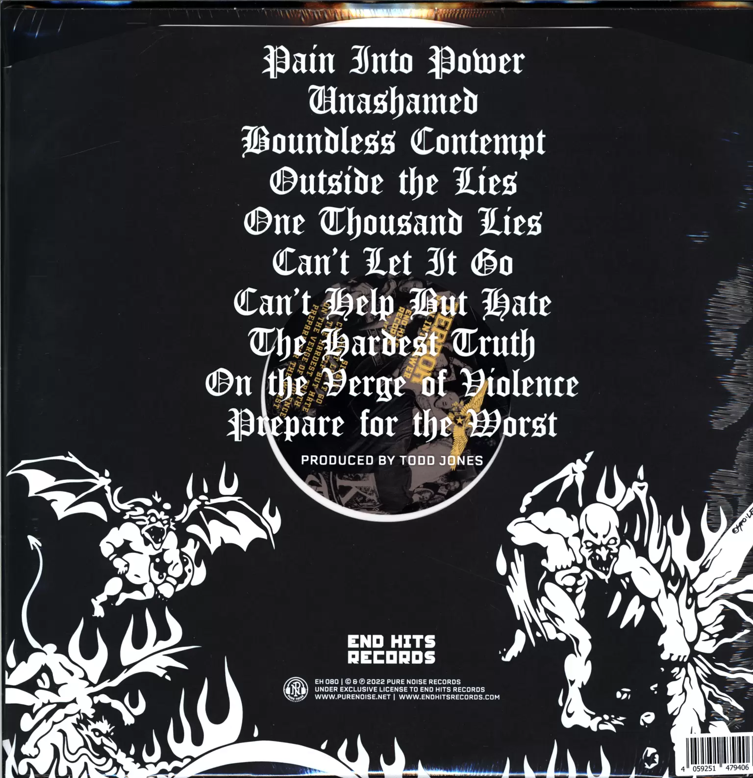Terror: Pain Into Power, 1×LP (Vinyl)