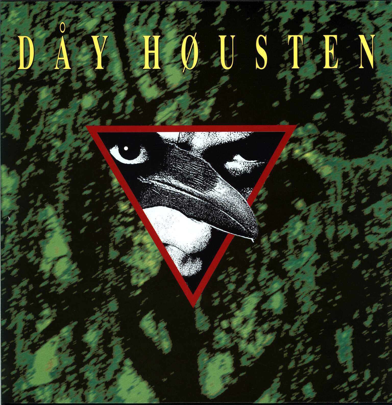 Dåy Høusten: Dåy Høusten, 1×LP (Vinyl)