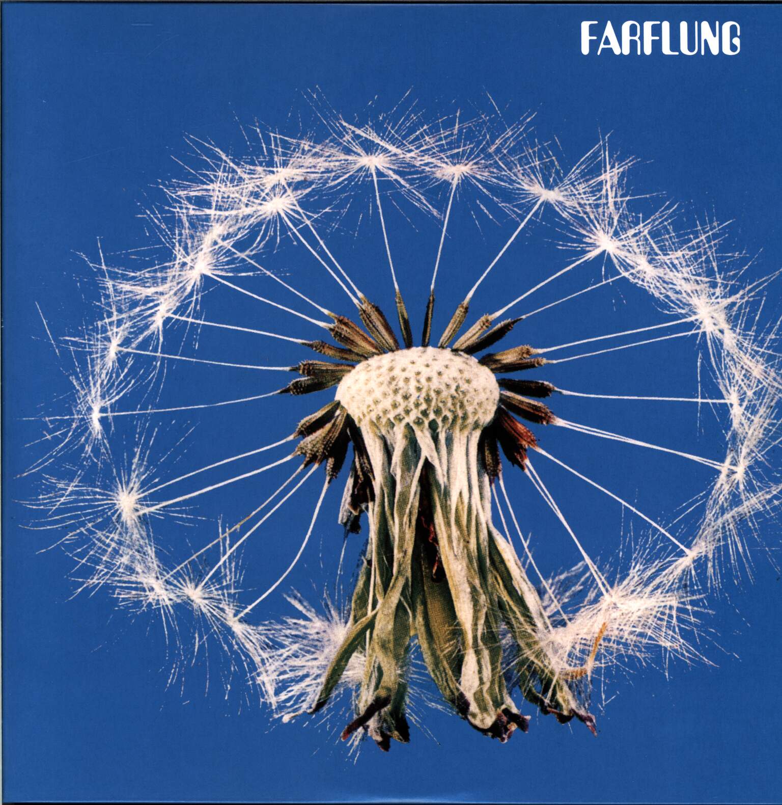 Farflung: The Belief Module, 2×LP (Vinyl)