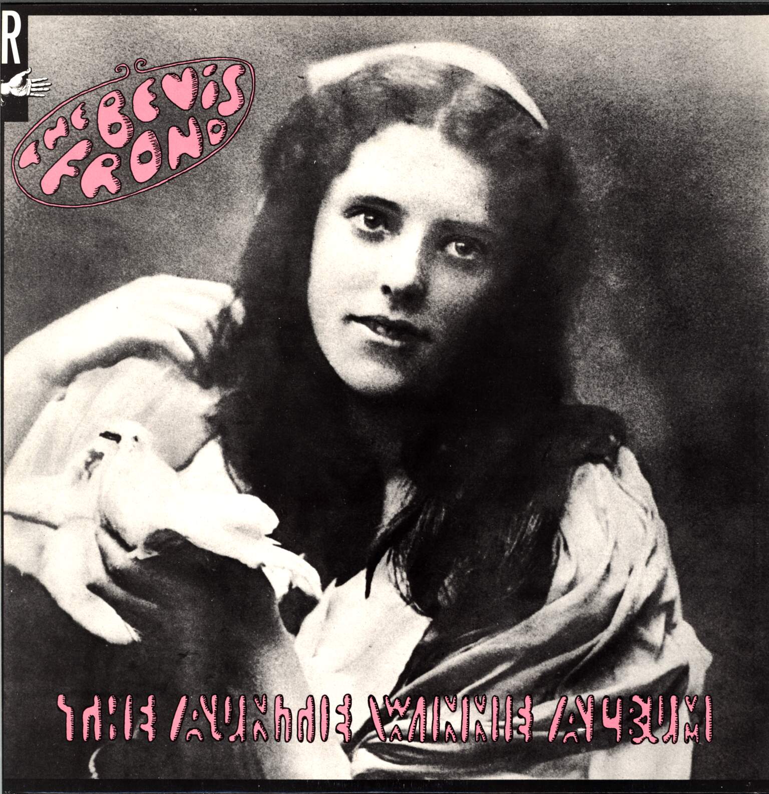 The Bevis Frond: The Auntie Winnie Album, 1×LP (Vinyl)