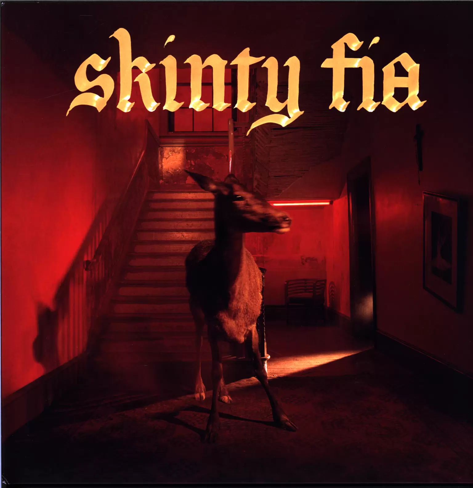 Fontaines D.C.: Skinty Fia, 1×LP (Vinyl)