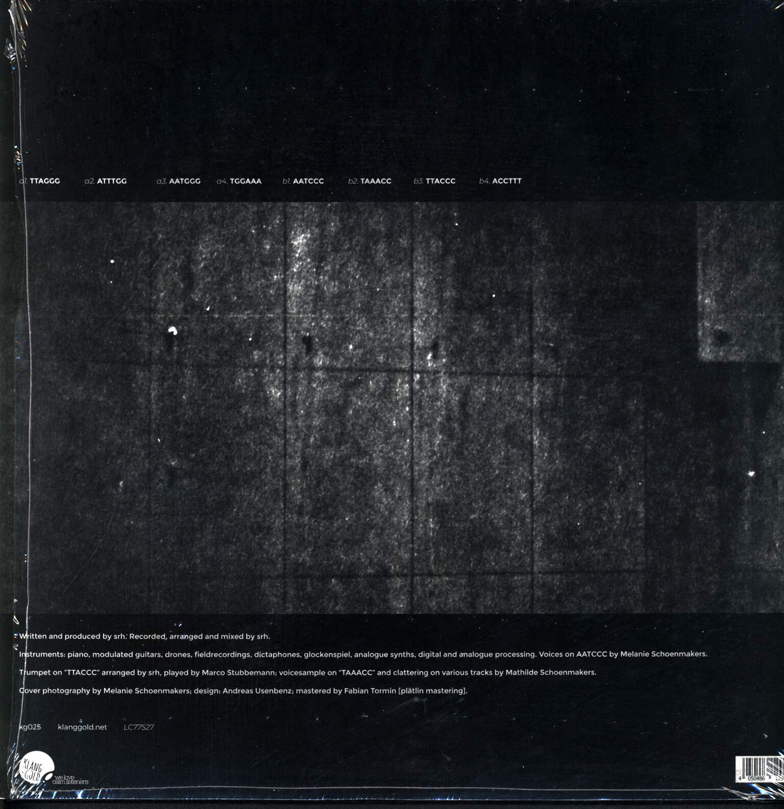 srh: telomer(e), 1×LP (Vinyl)