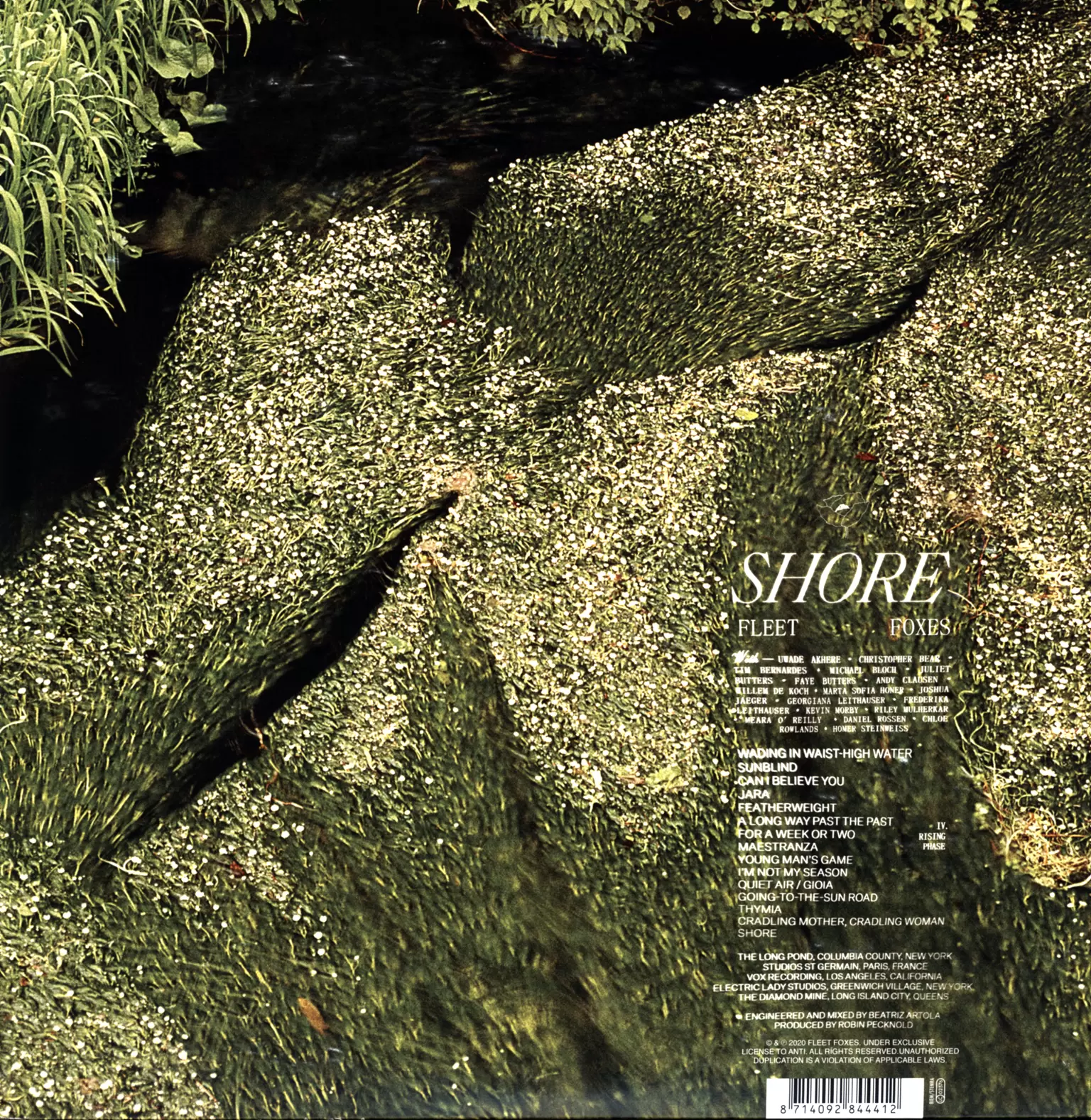 Fleet Foxes: Shore, 2×LP (Vinyl)