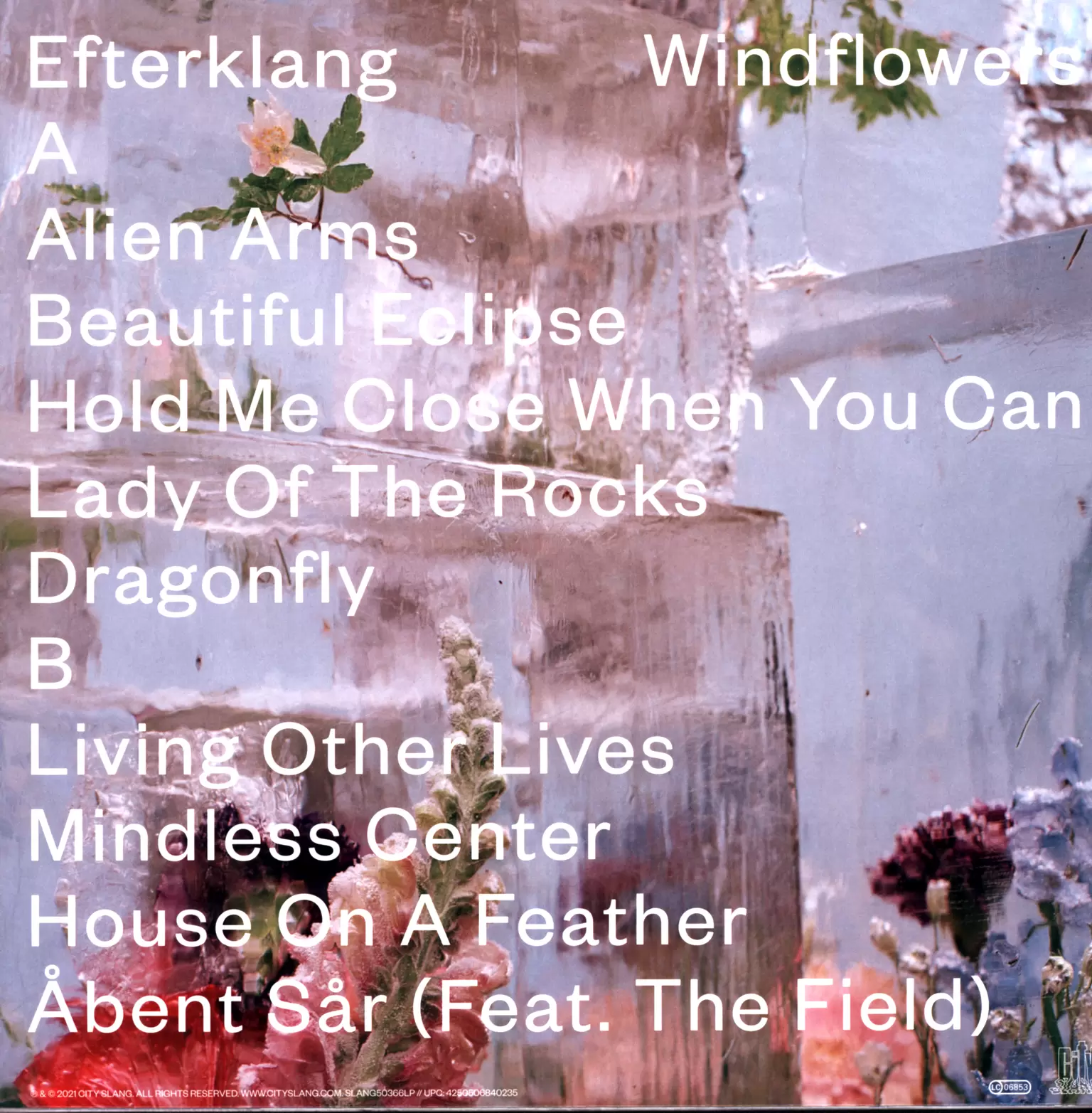 Efterklang: Windflowers, 1×LP (Vinyl)
