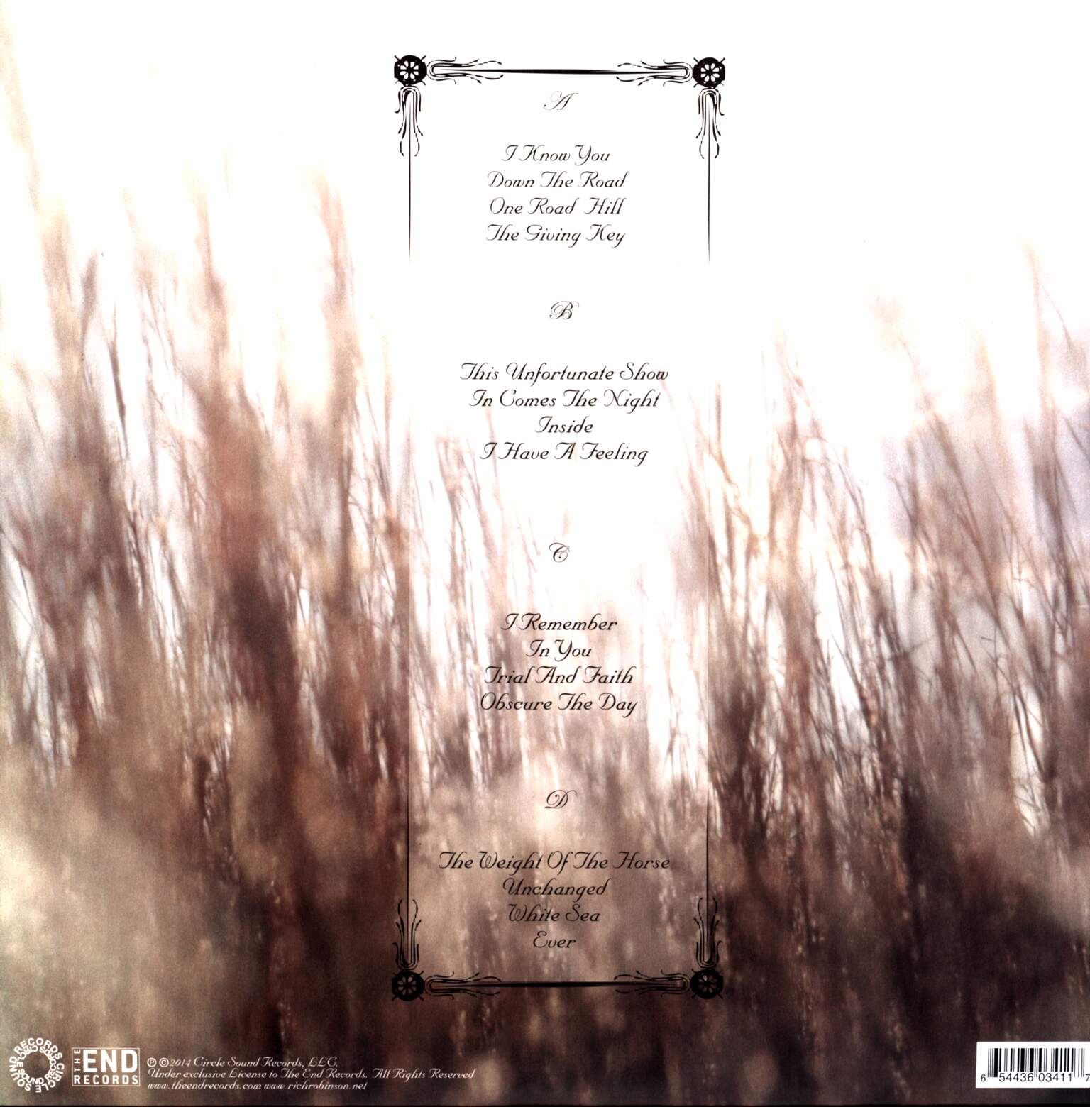Rich Robinson: The Ceaseless Sight, 2×LP (Vinyl), 1×CD