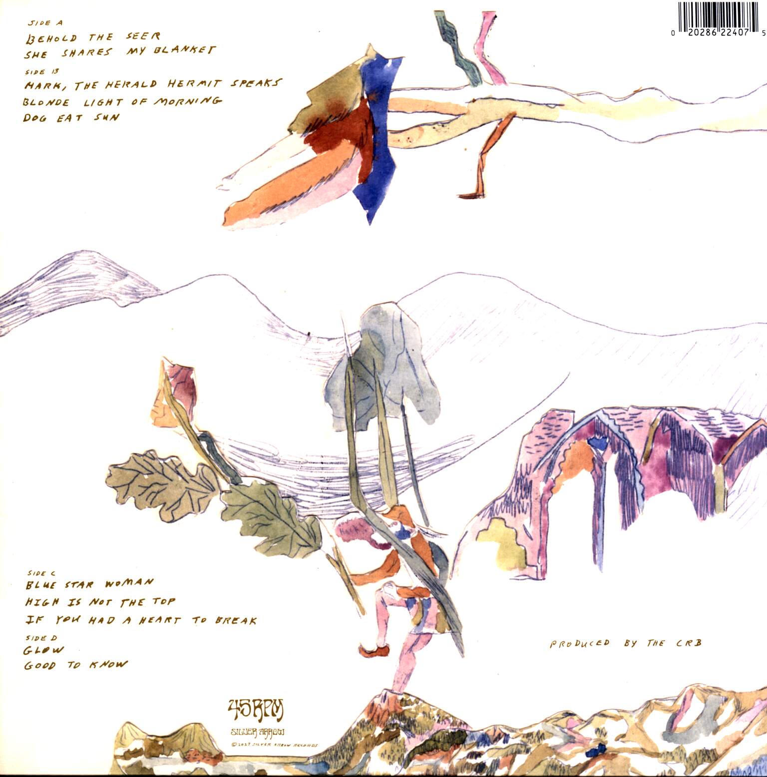 The Chris Robinson Brotherhood: Barefoot In The Head, 2×LP (Vinyl)