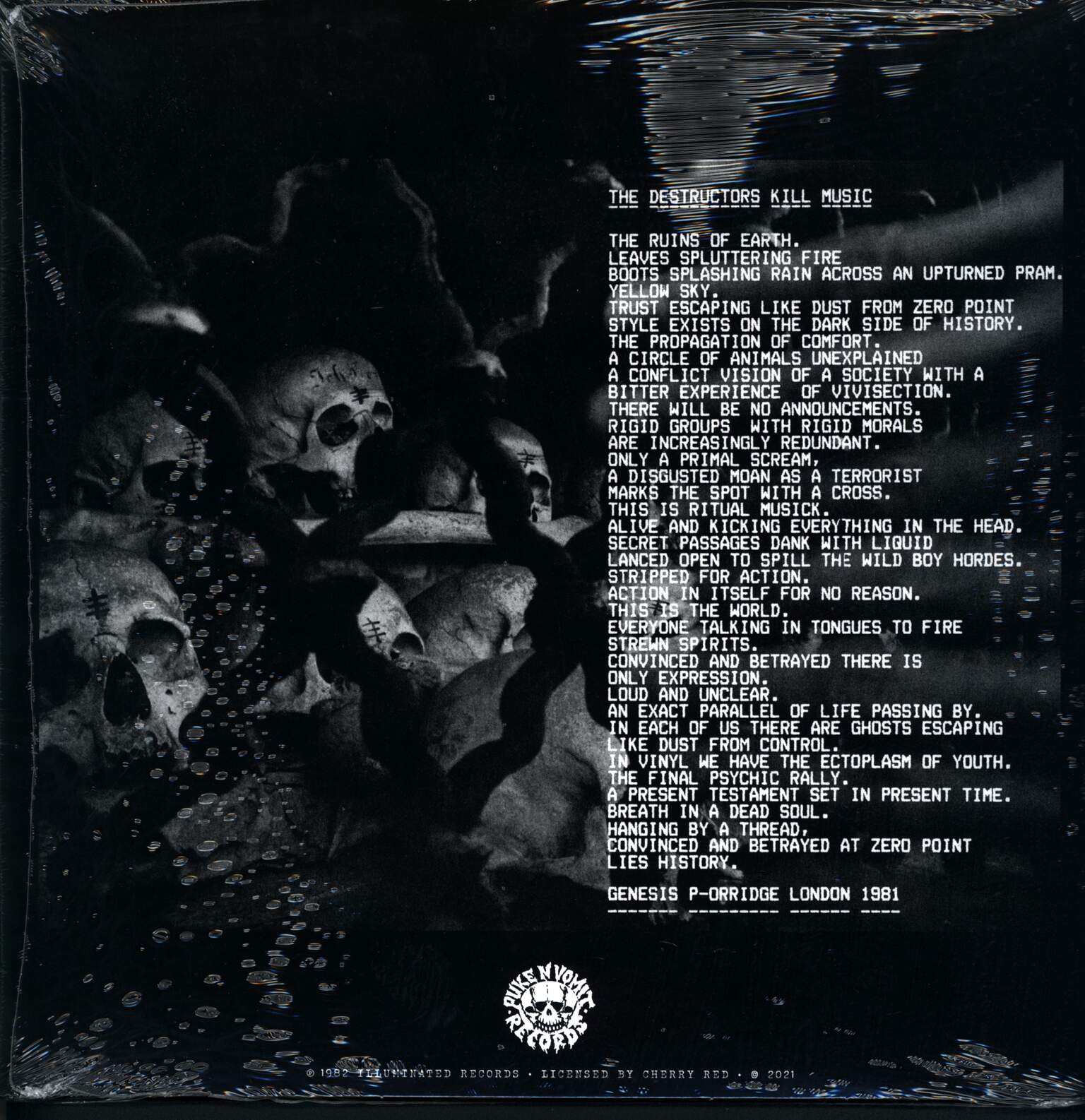 Destructors: Exercise The Demons Of Youth, 1×LP (Vinyl)