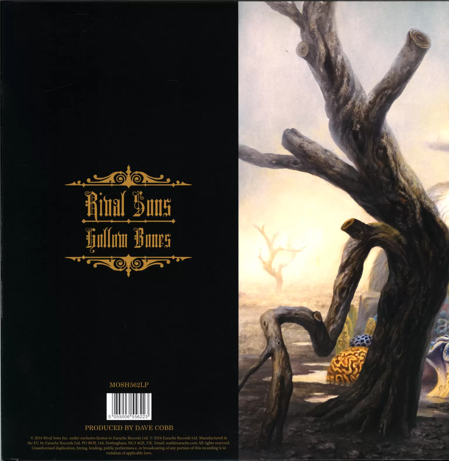 Rival Sons: Hollow Bones, 1×LP (Vinyl)