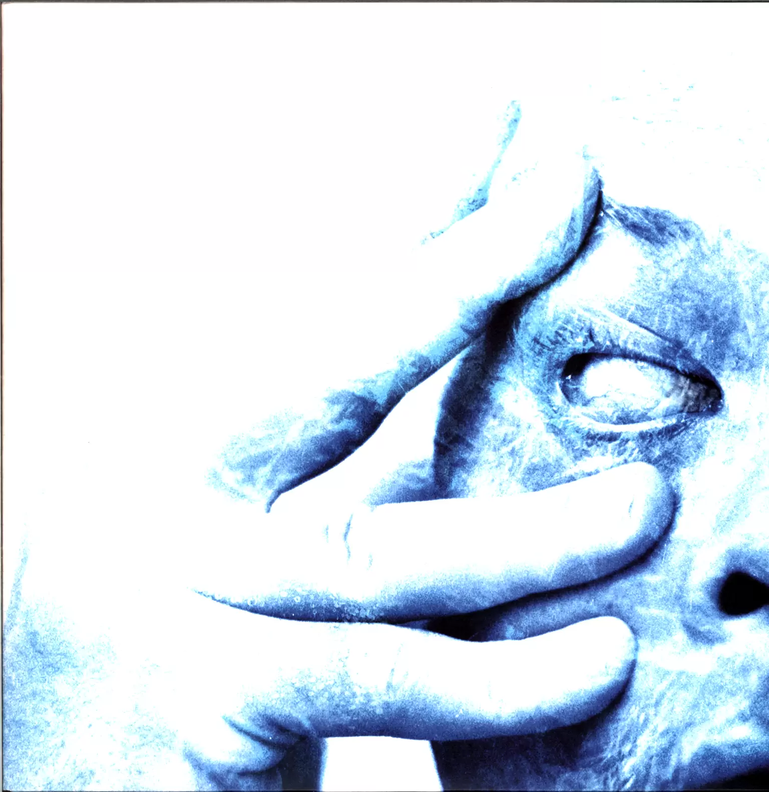 Porcupine Tree: In Absentia, 2×LP (Vinyl)