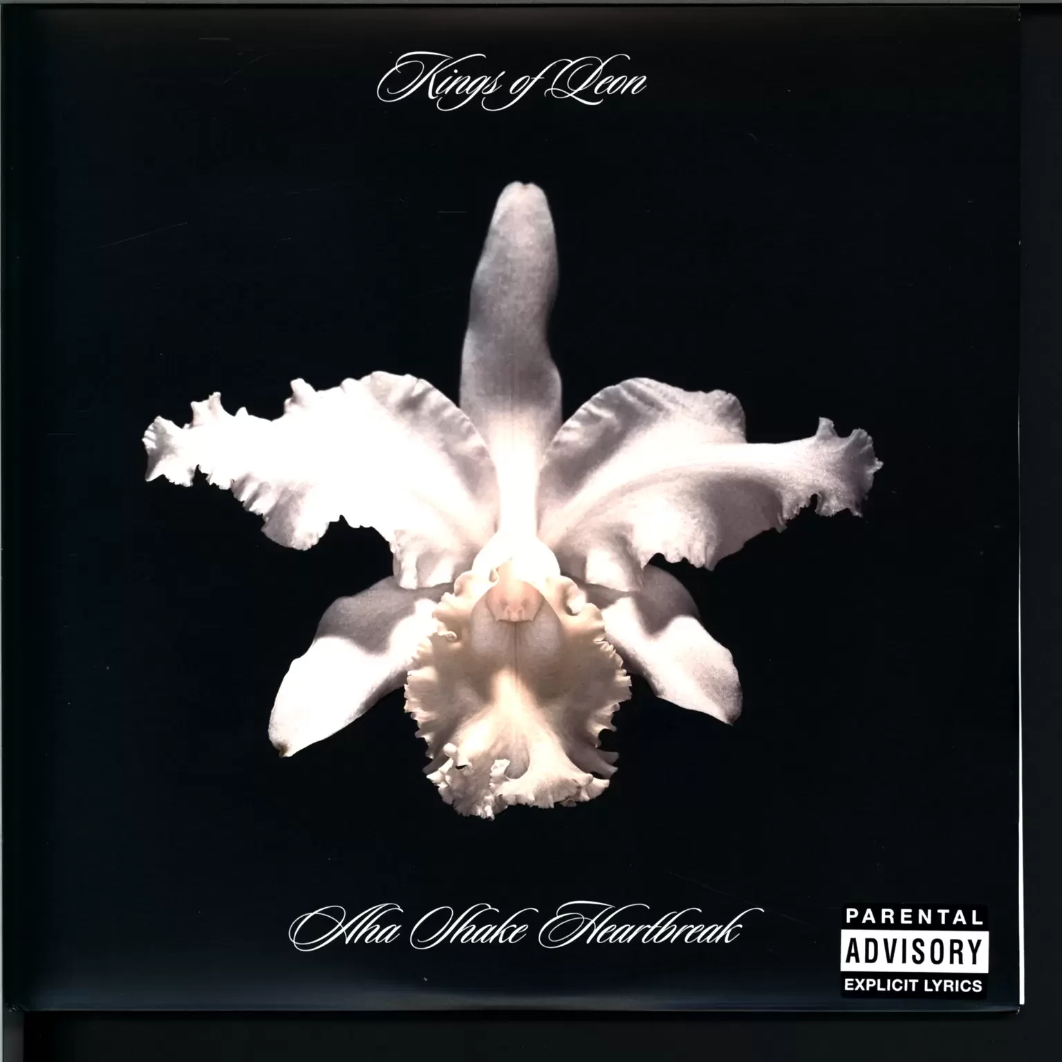 Kings Of Leon: Aha Shake Heartbreak, 2×10" Vinyl EP