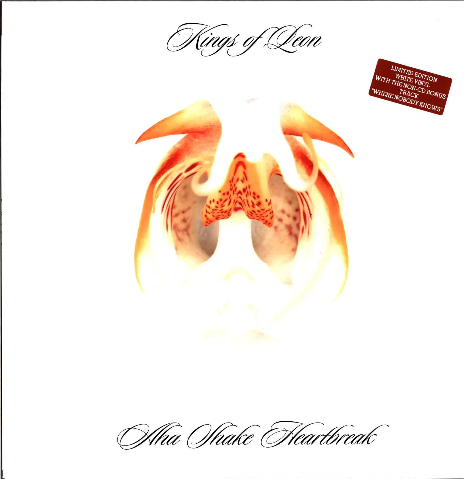 Kings Of Leon: Aha Shake Heartbreak, 1×LP (Vinyl)