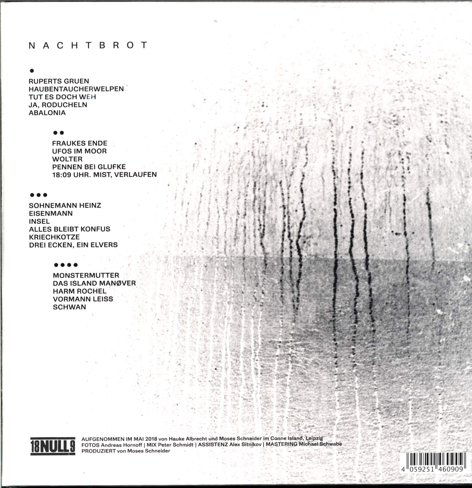 Turbostaat: Nachtbrot, 2×LP (Vinyl)