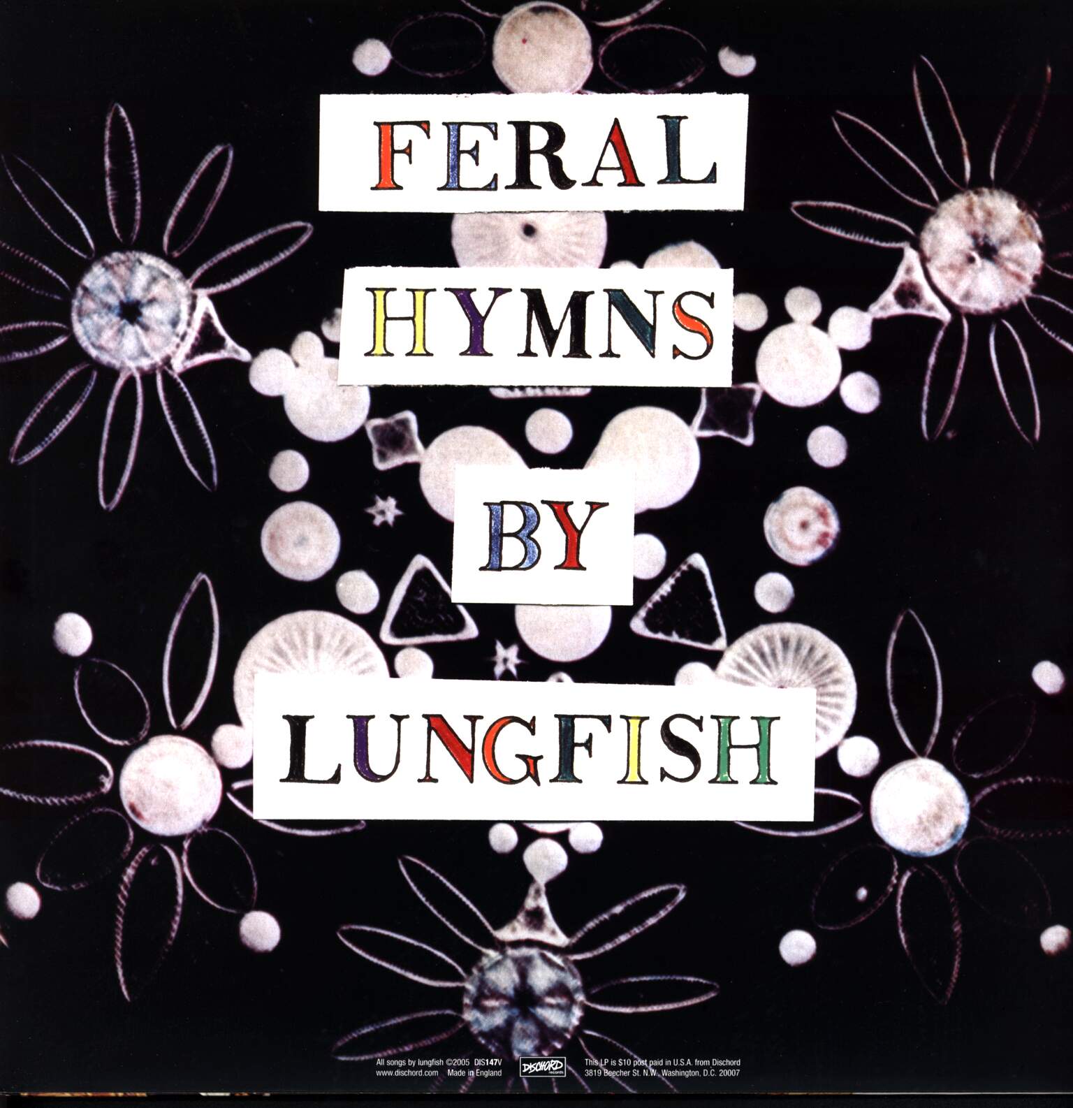 Lungfish: Feral Hymns, 1×LP (Vinyl)