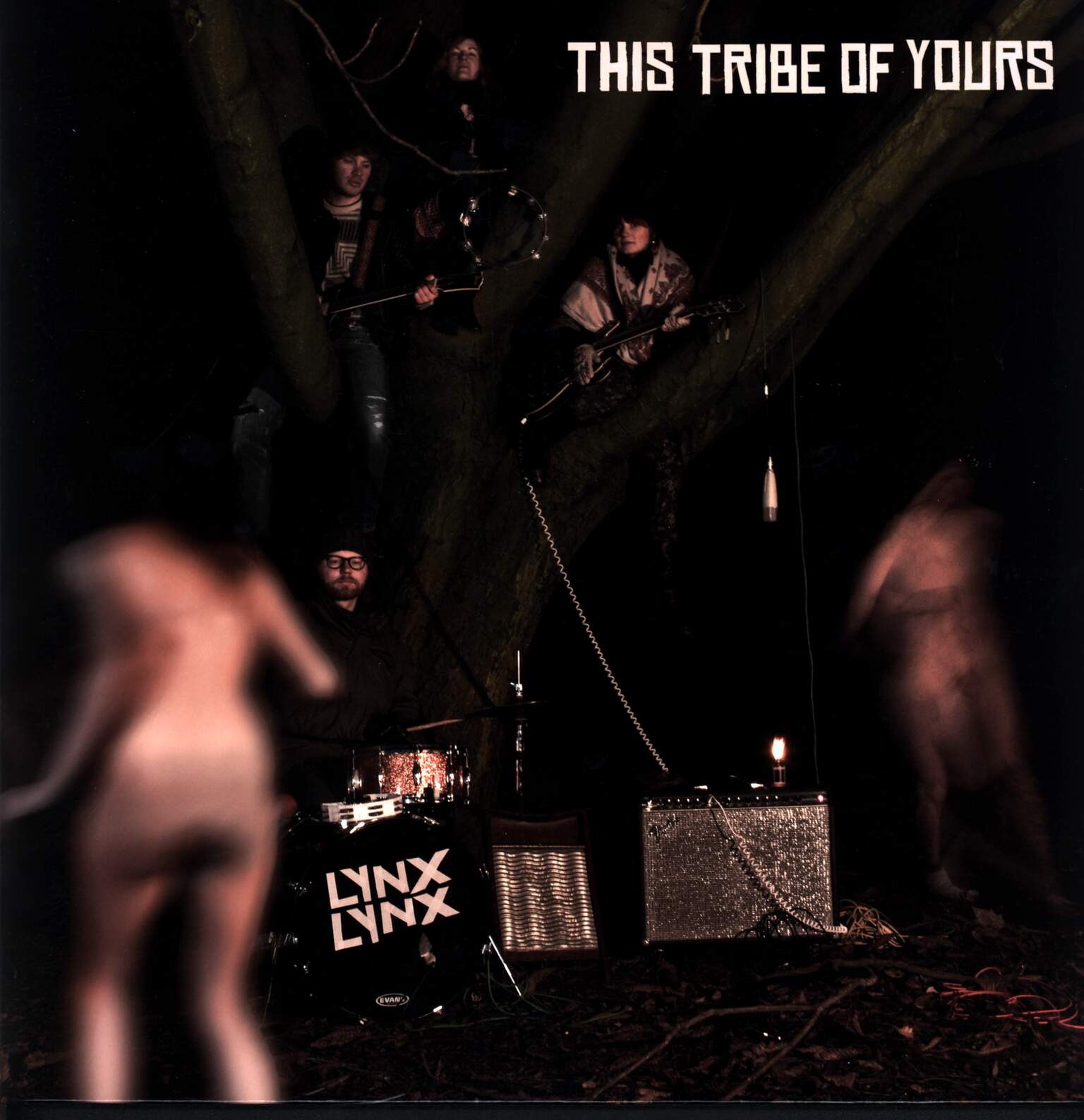 Lynx Lynx: This Tribe Of Yours, 1×LP (Vinyl)