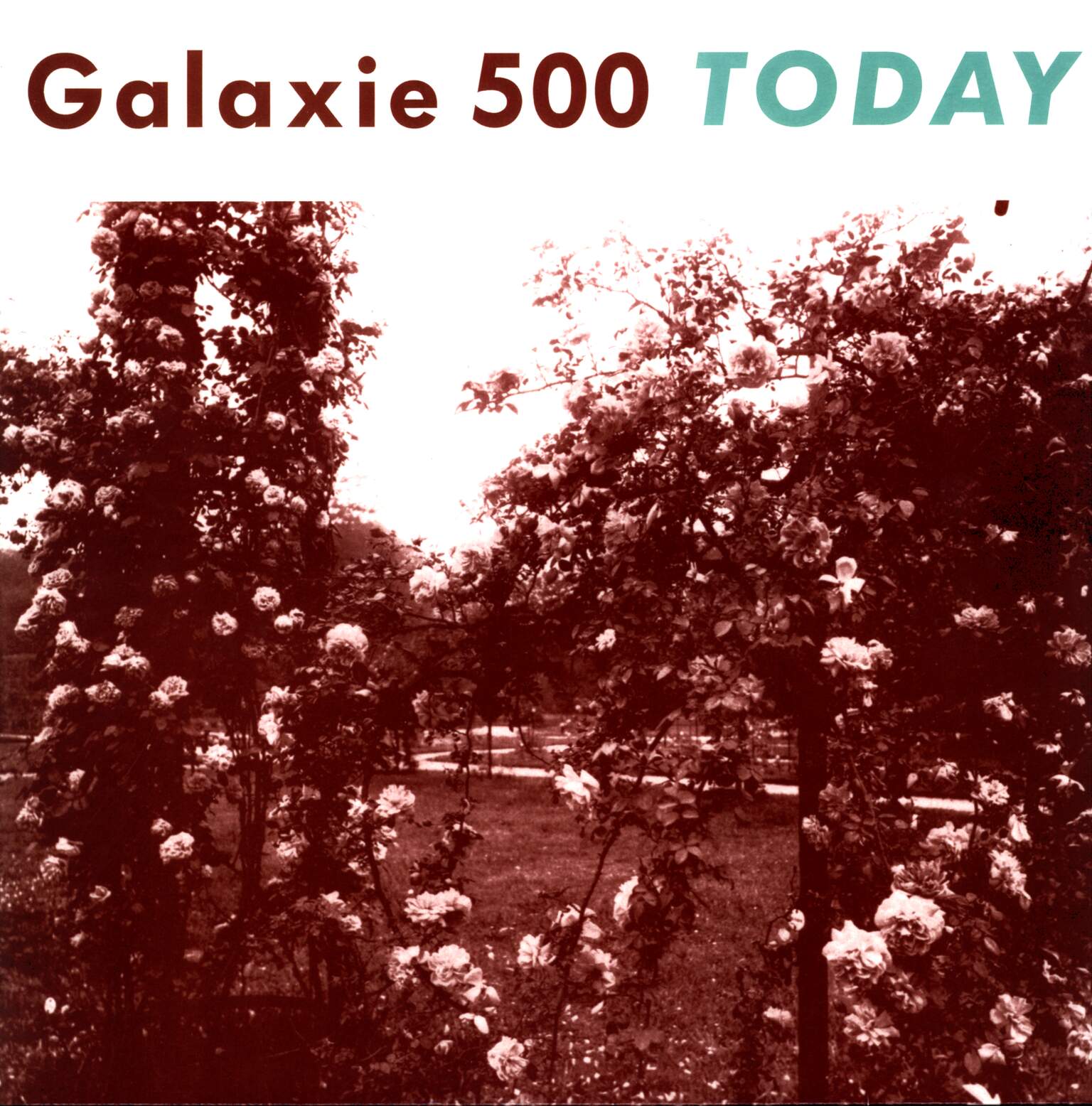 Galaxie 500: Today, 1×LP (Vinyl)