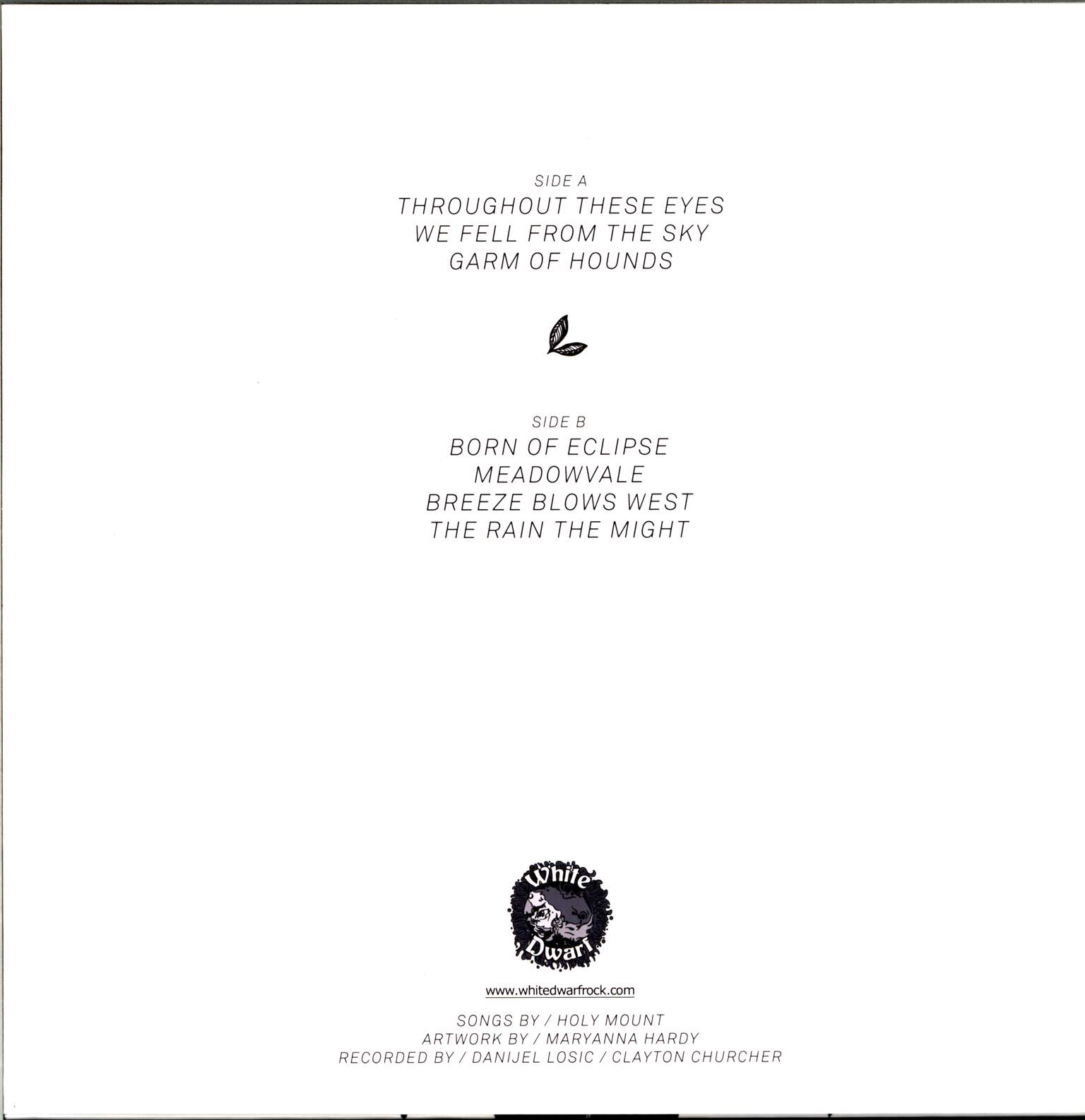 Holy Mount: We Fell From The Sky, 1×LP (Vinyl)