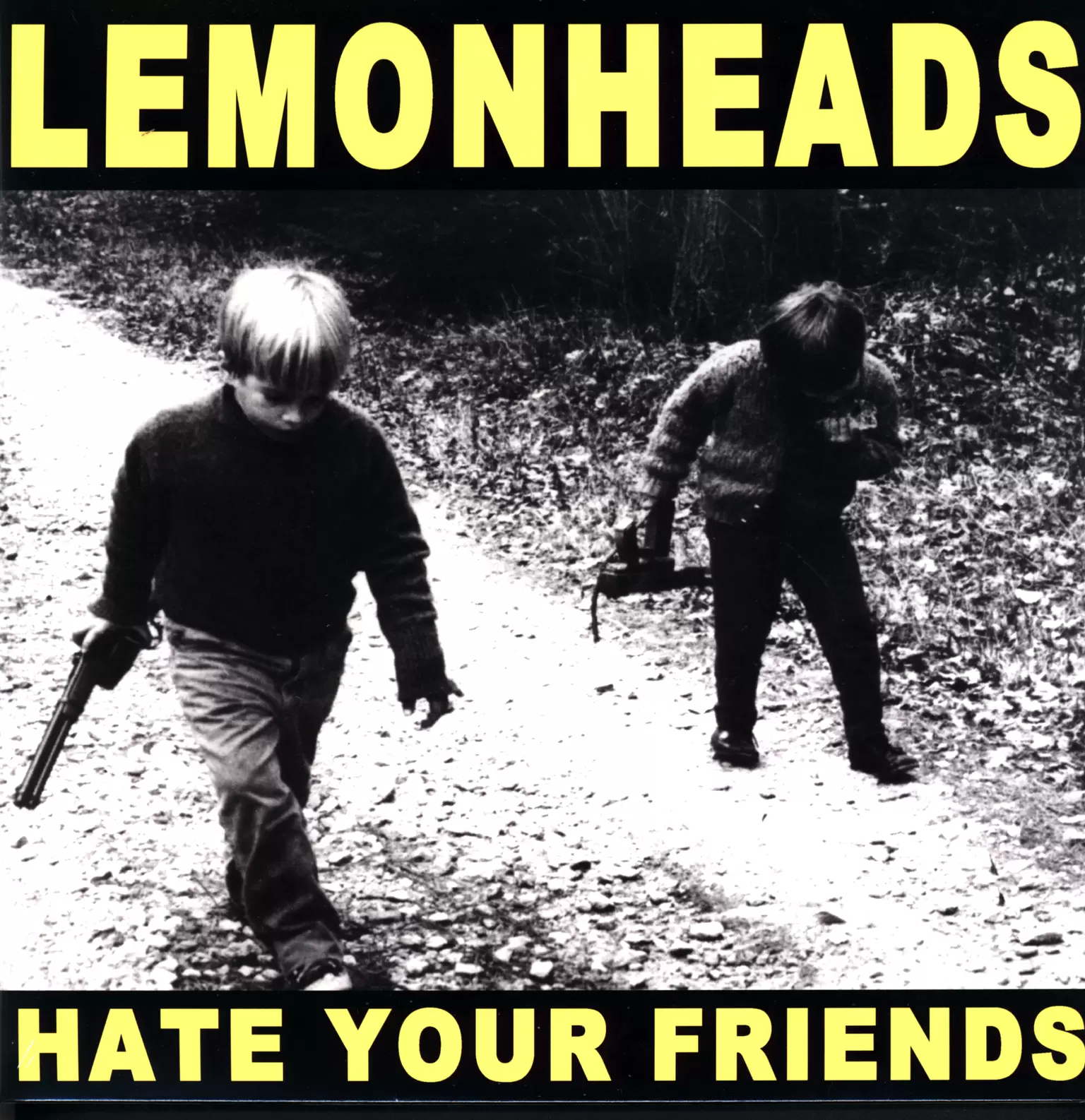 The Lemonheads: Hate Your Friends, 1×LP (Vinyl)