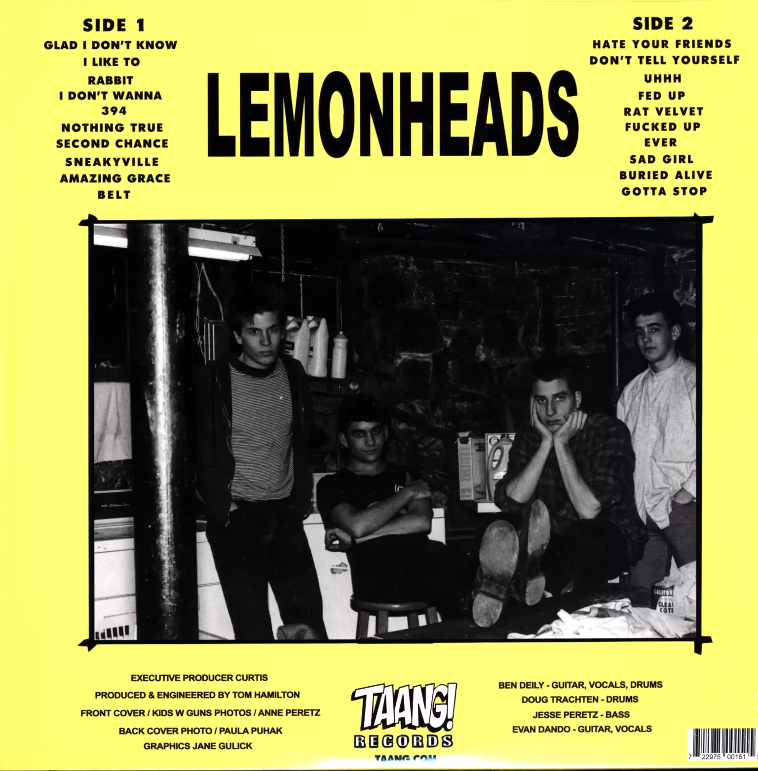 The Lemonheads: Hate Your Friends, 1×LP (Vinyl)
