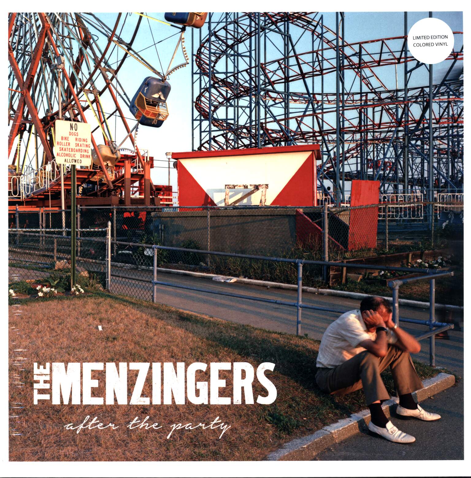 The Menzingers: After The Party, 1×LP (Vinyl)