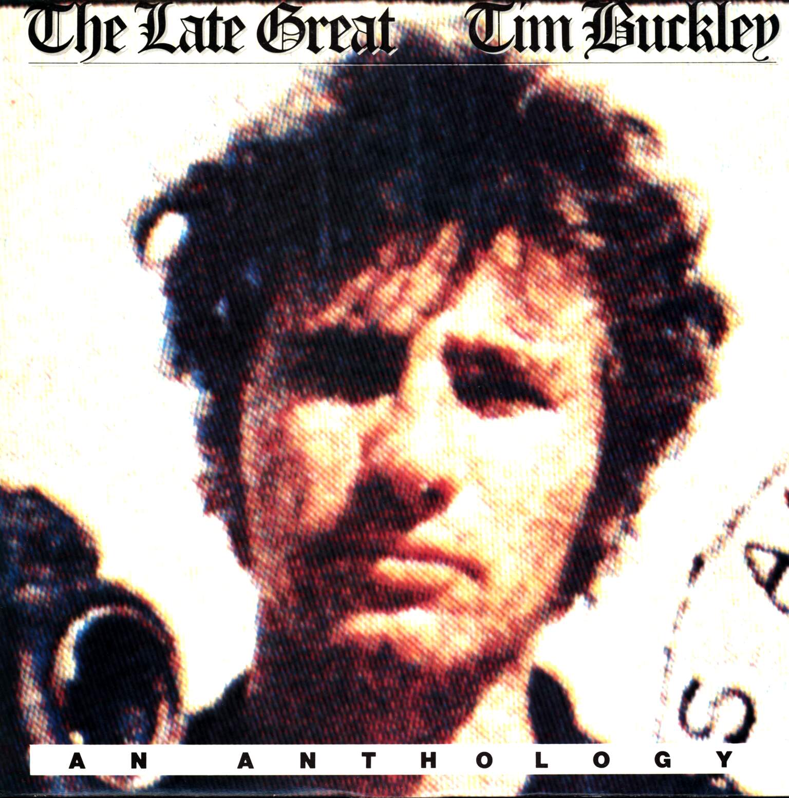 Tim Buckley: The Late Great Tim Buckley - An Anthology, 1×LP (Vinyl)